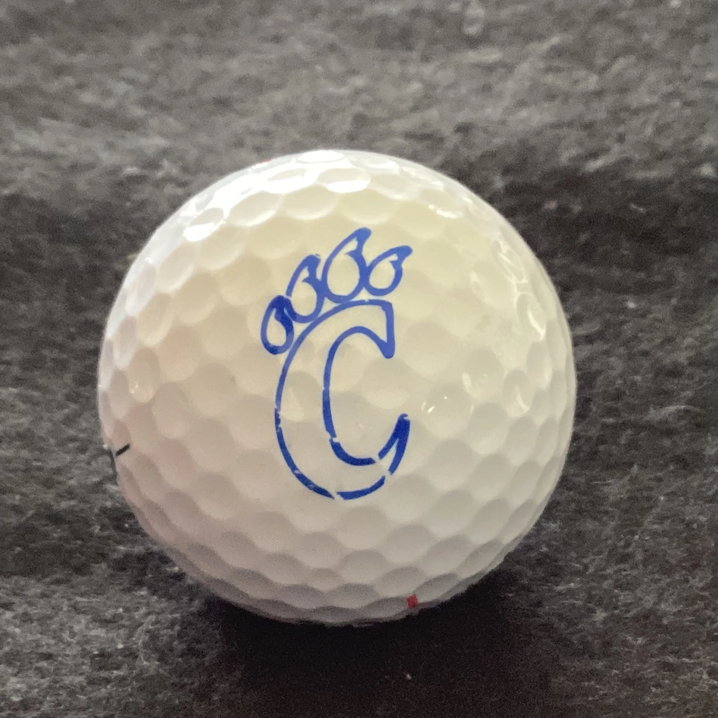 University of Cincinnati Bearcats