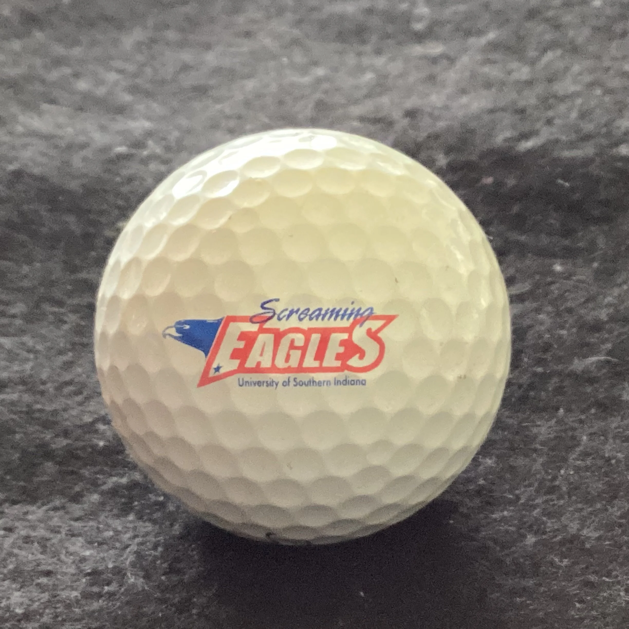 University of Southern Indiana Screaming Eagles