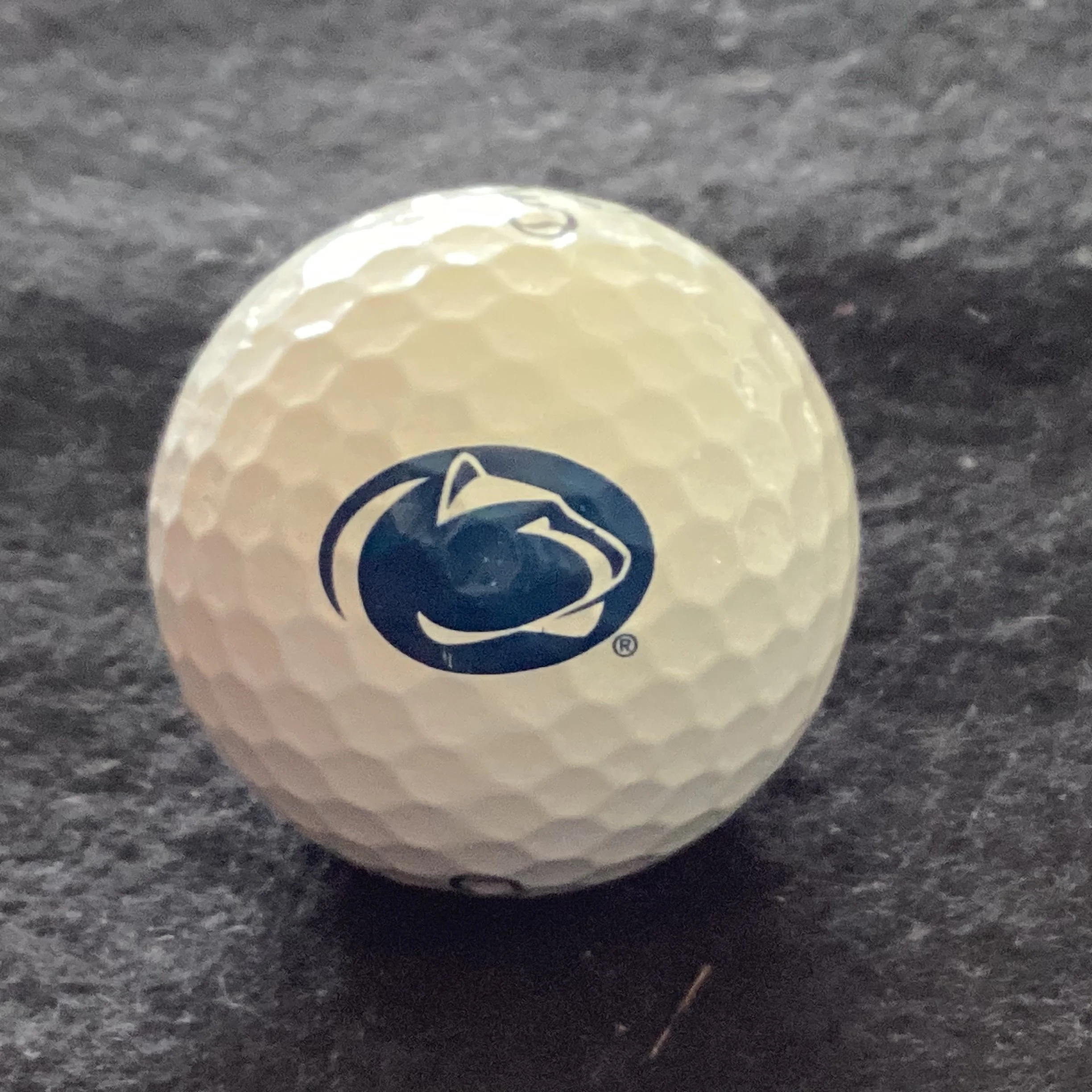 Pennsylvania State University Nittany Lions