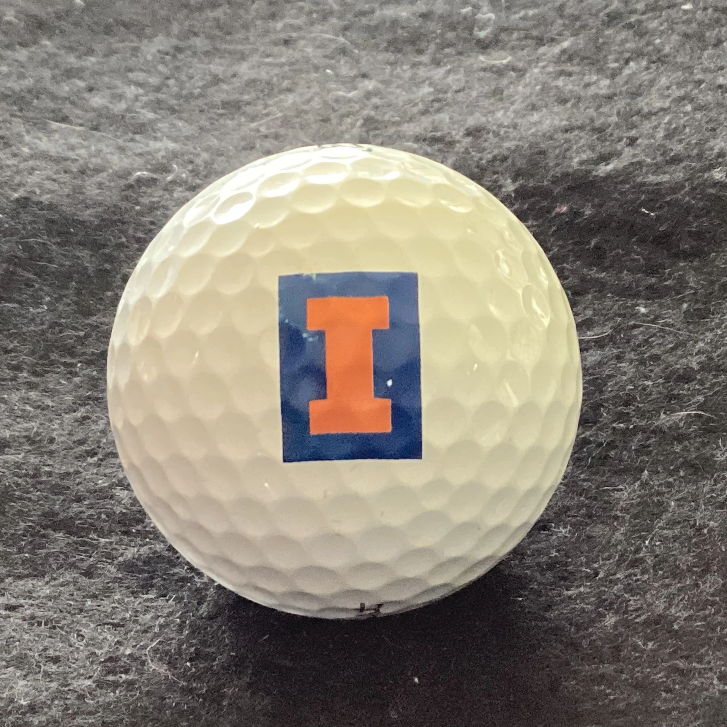 University of Illinois Fighting Illini 