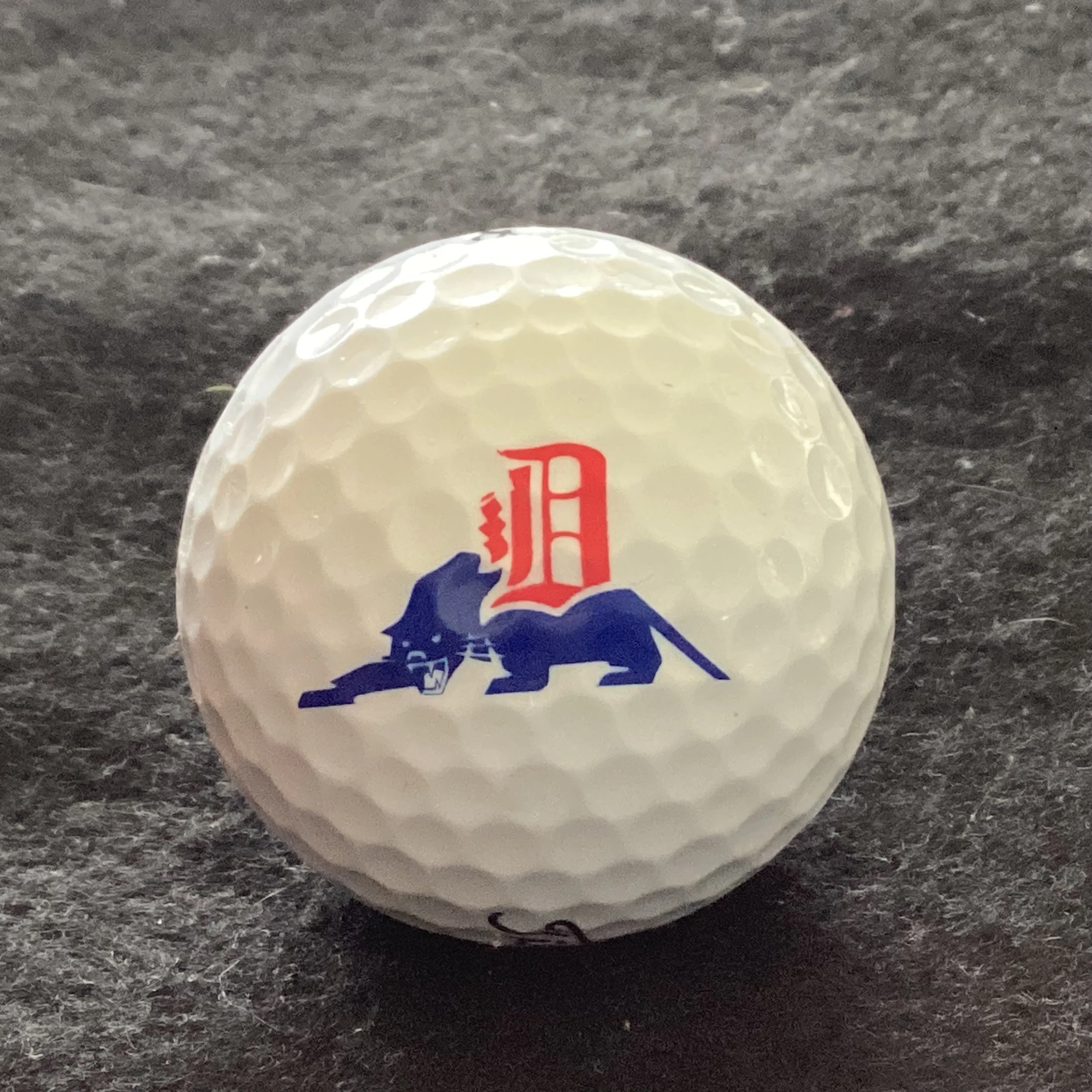 Dandenong Panthers Cricket Club 