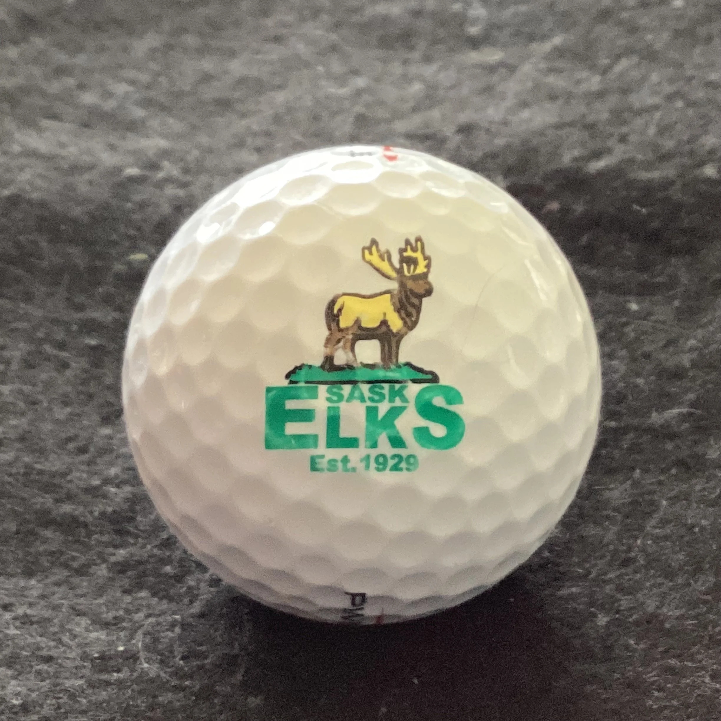 Sask Elks Lottery