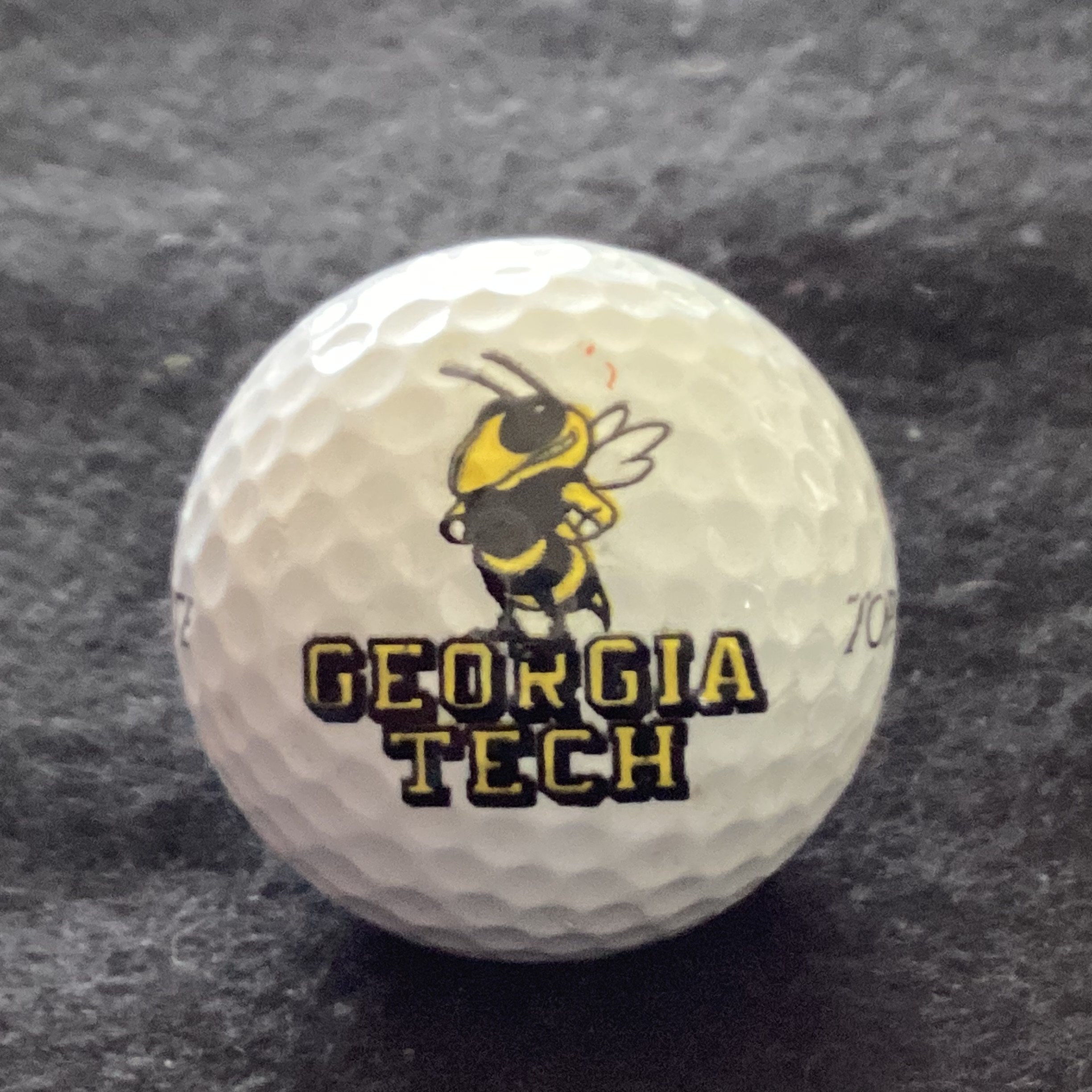 Georgia Tech Yellow Jackets

