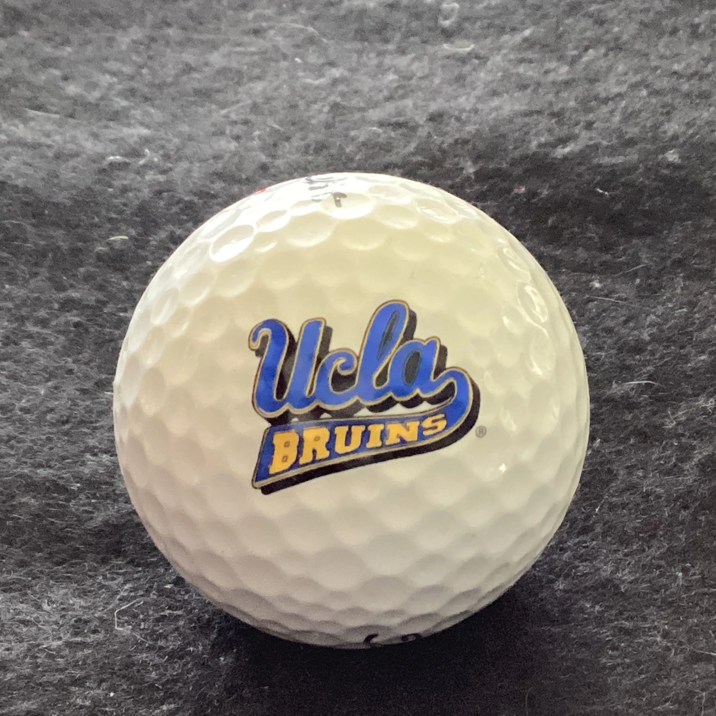 University of California Los Angeles Bruins
