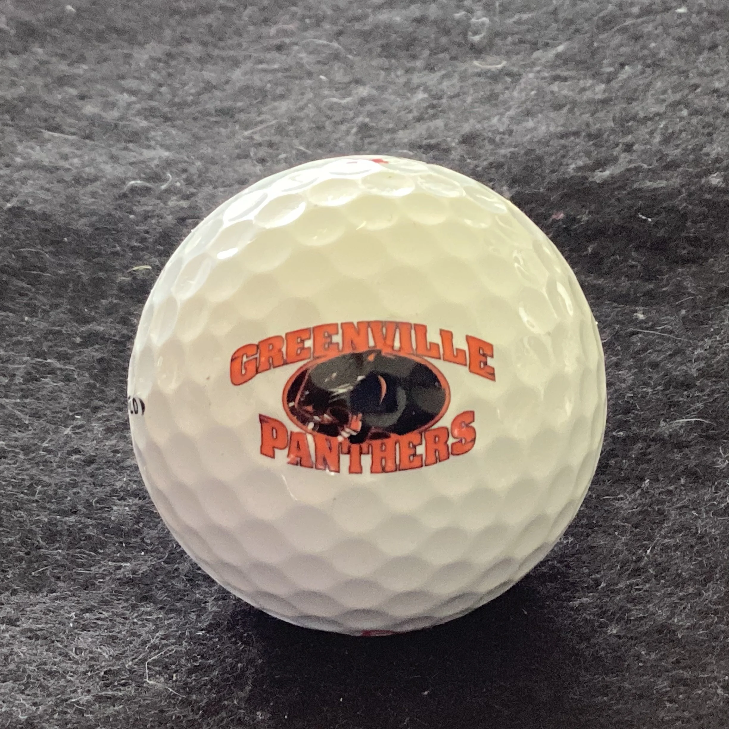 Greenville University Panthers