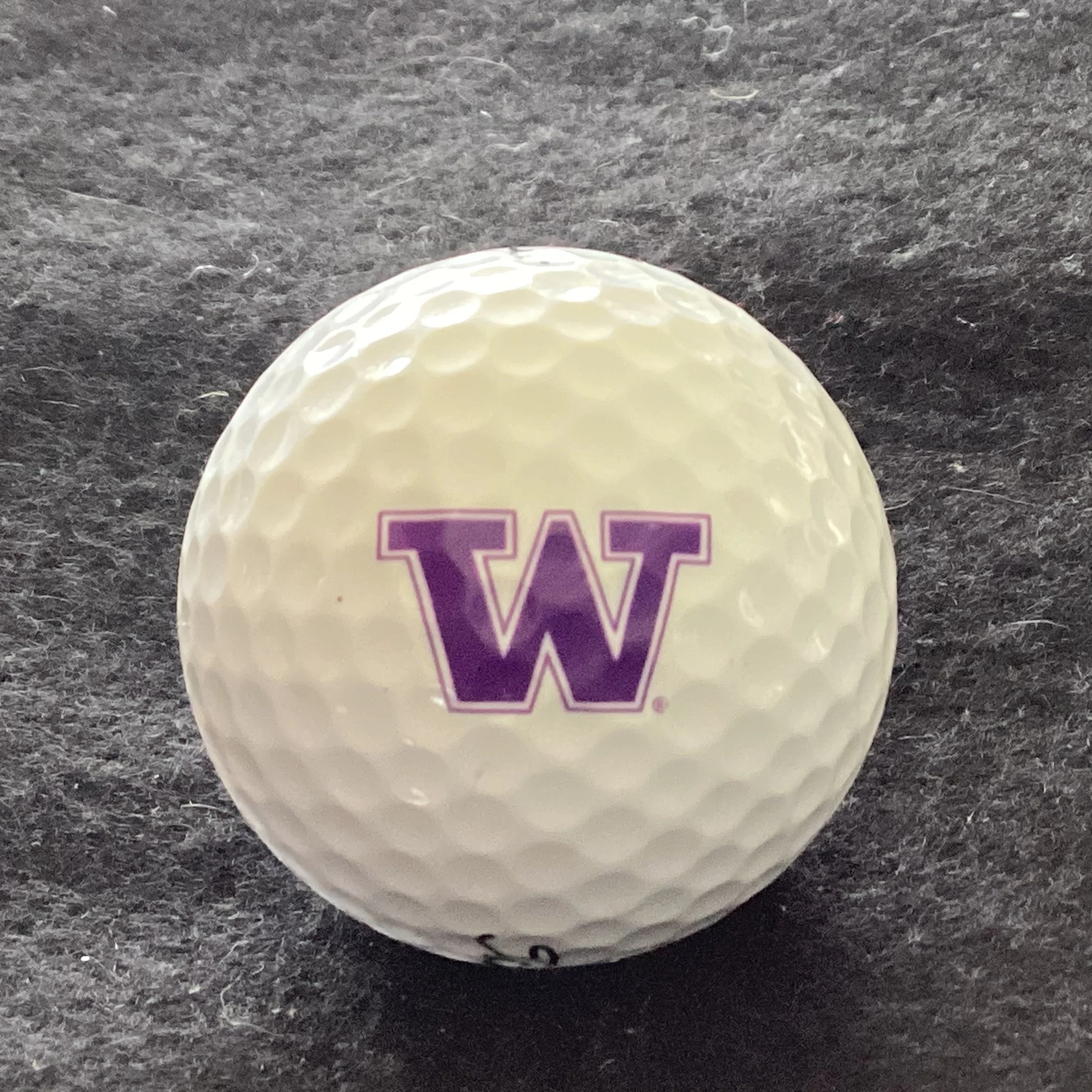 University of Washington Huskies 