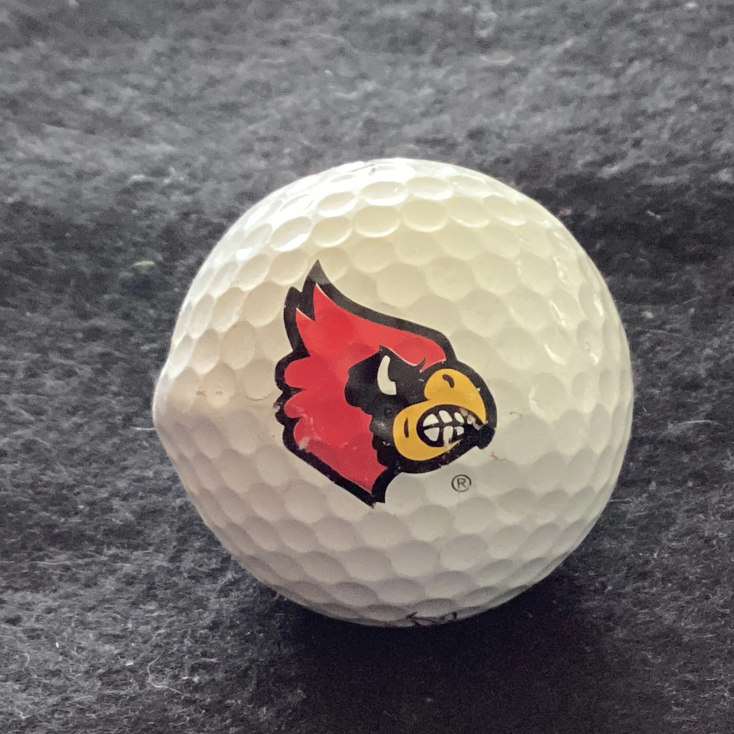 University of Louisville Cardinals 