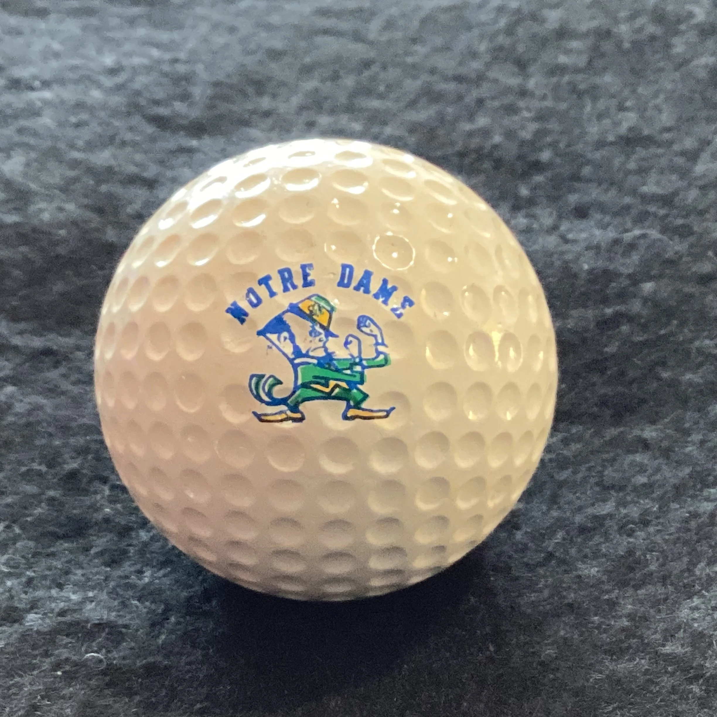 University of Notre Dame Fightin Irish
