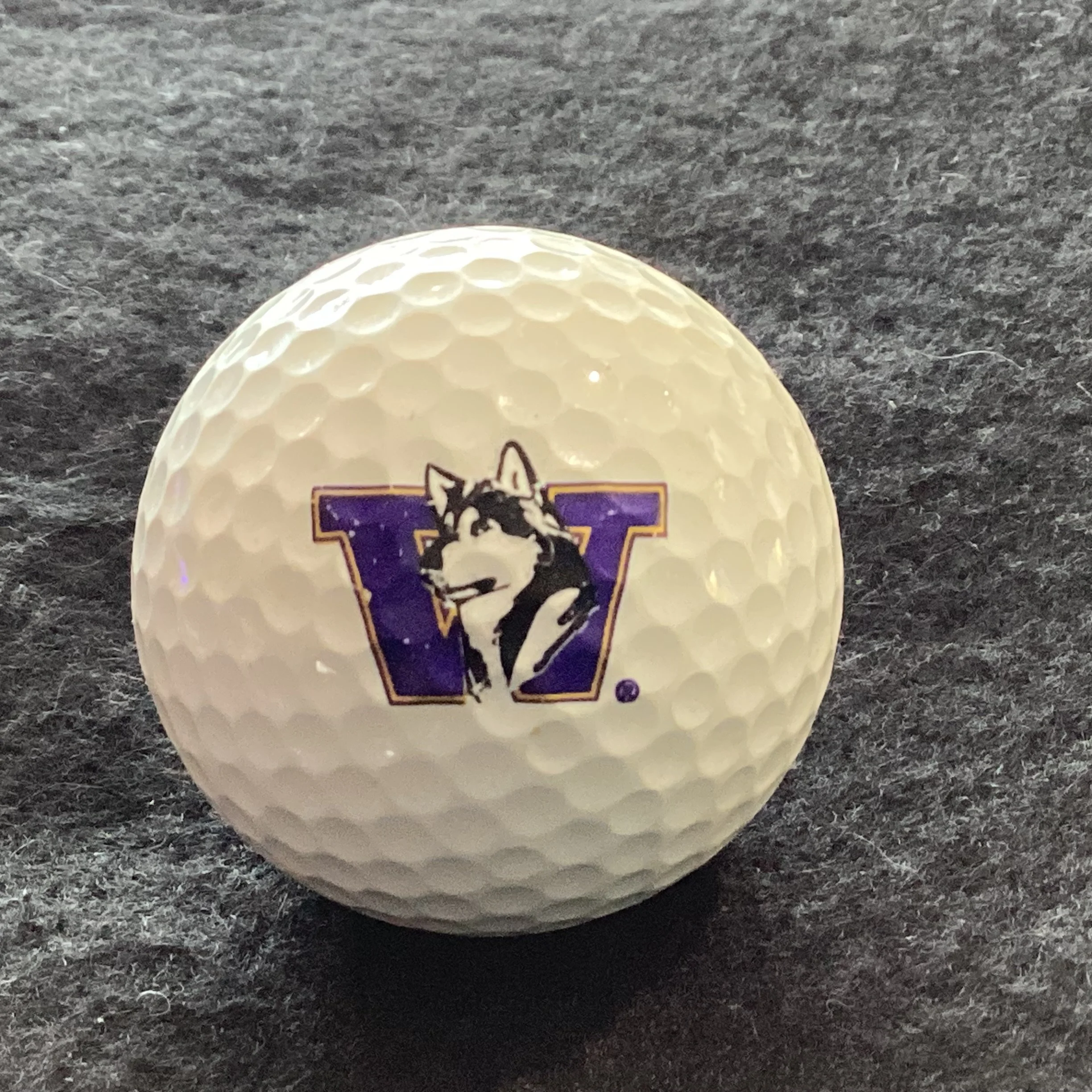 University of Washington Huskies 