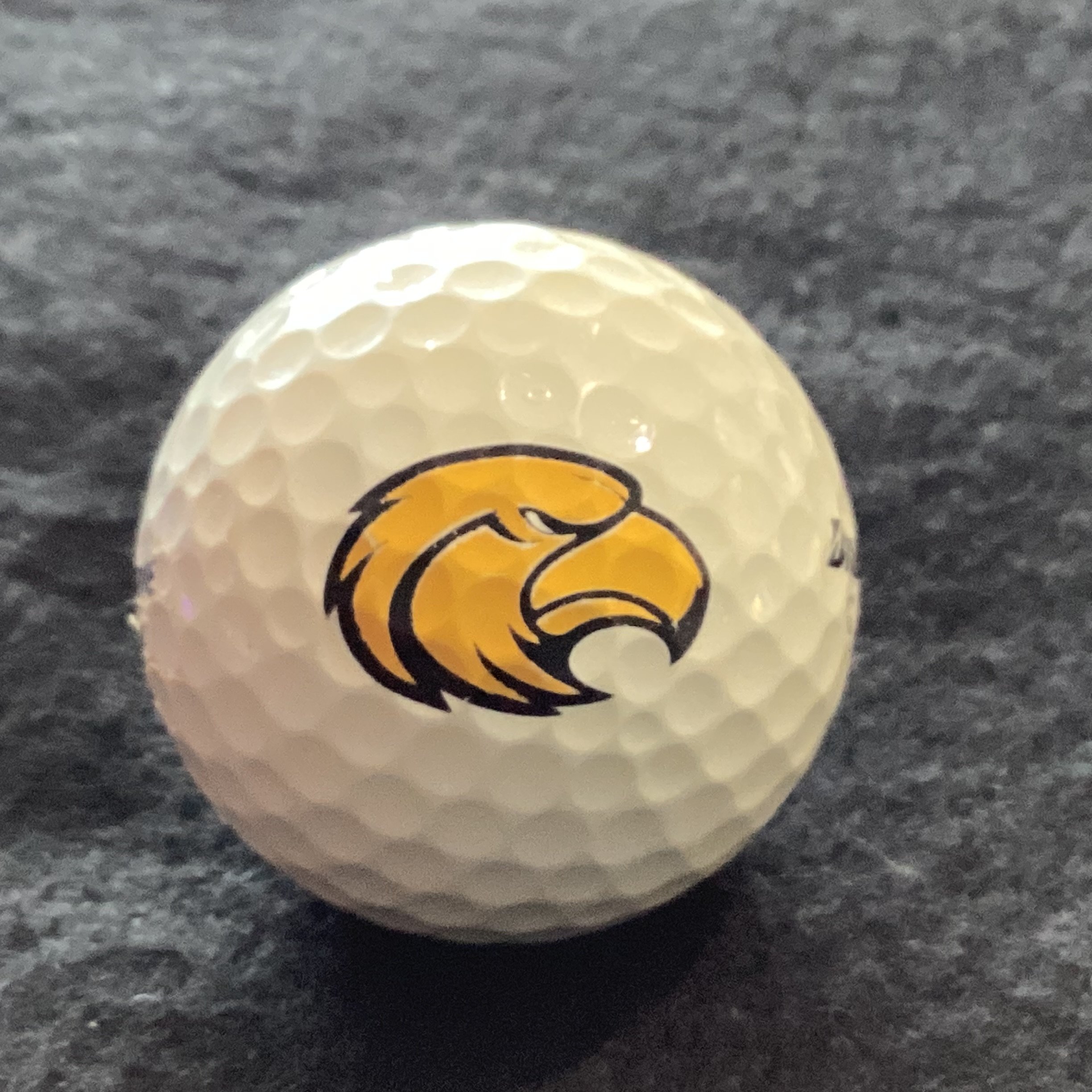Columbia High School Eagles