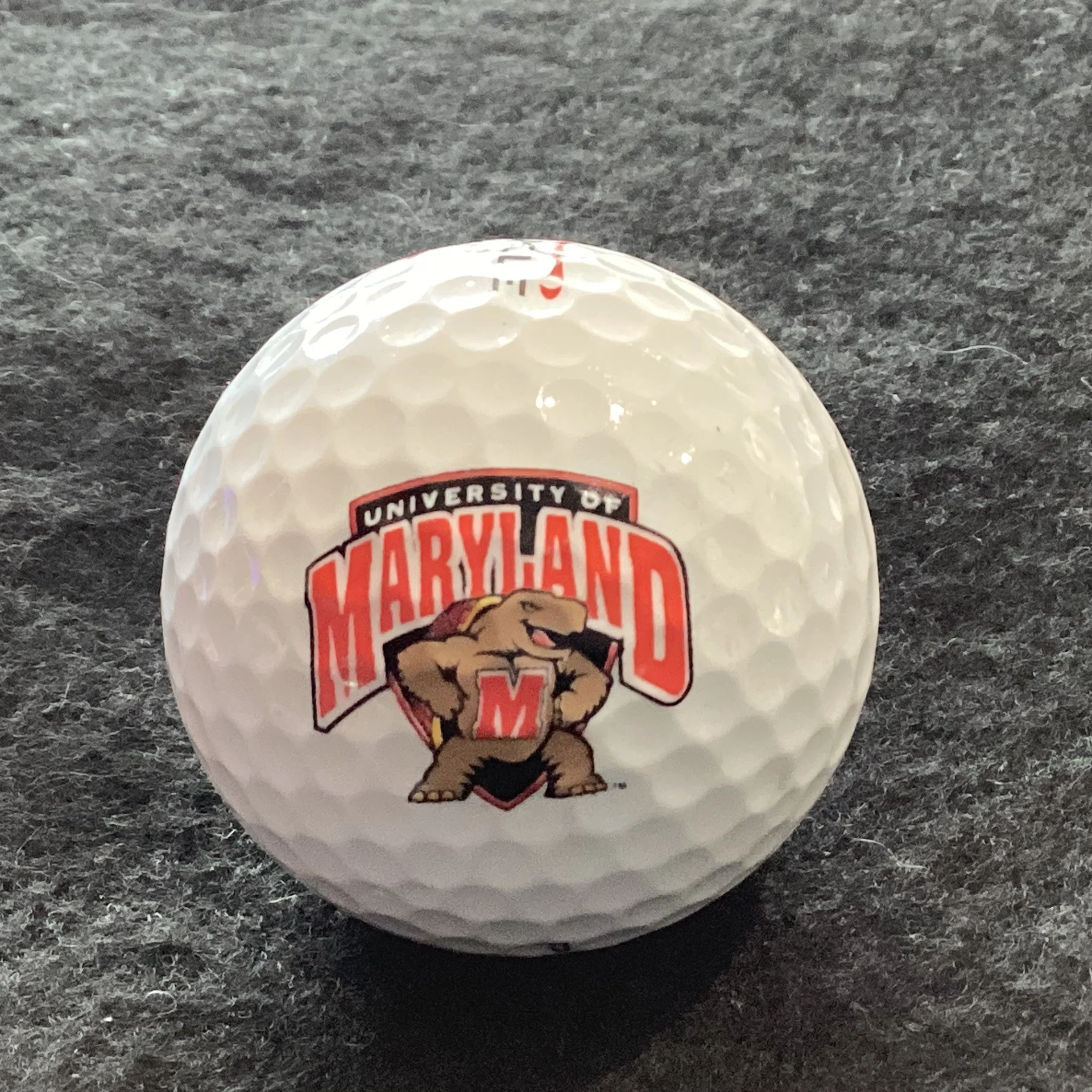 University of Maryland College Park Terrapins