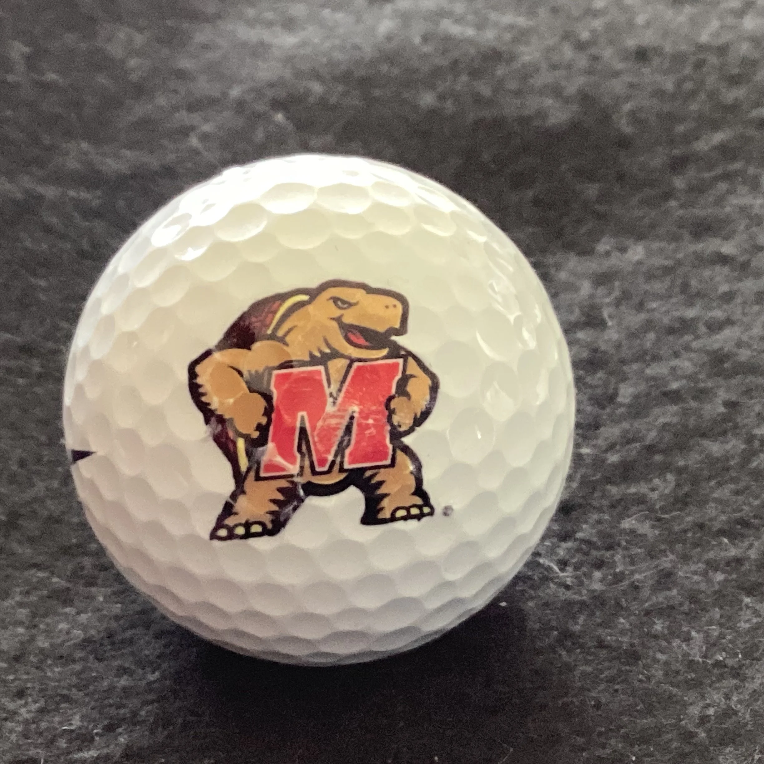 University of Maryland College Park Terrapins 