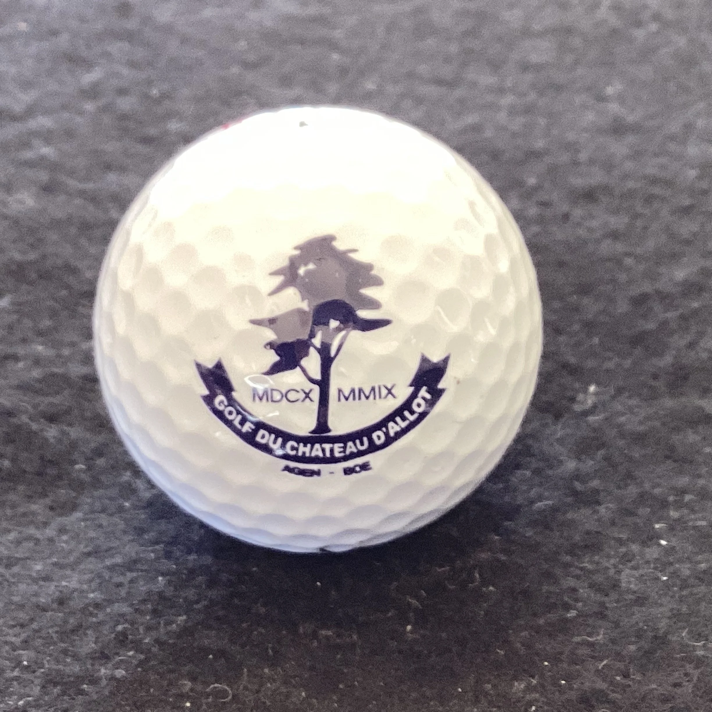 Chateau D’Allot - Golf Du
