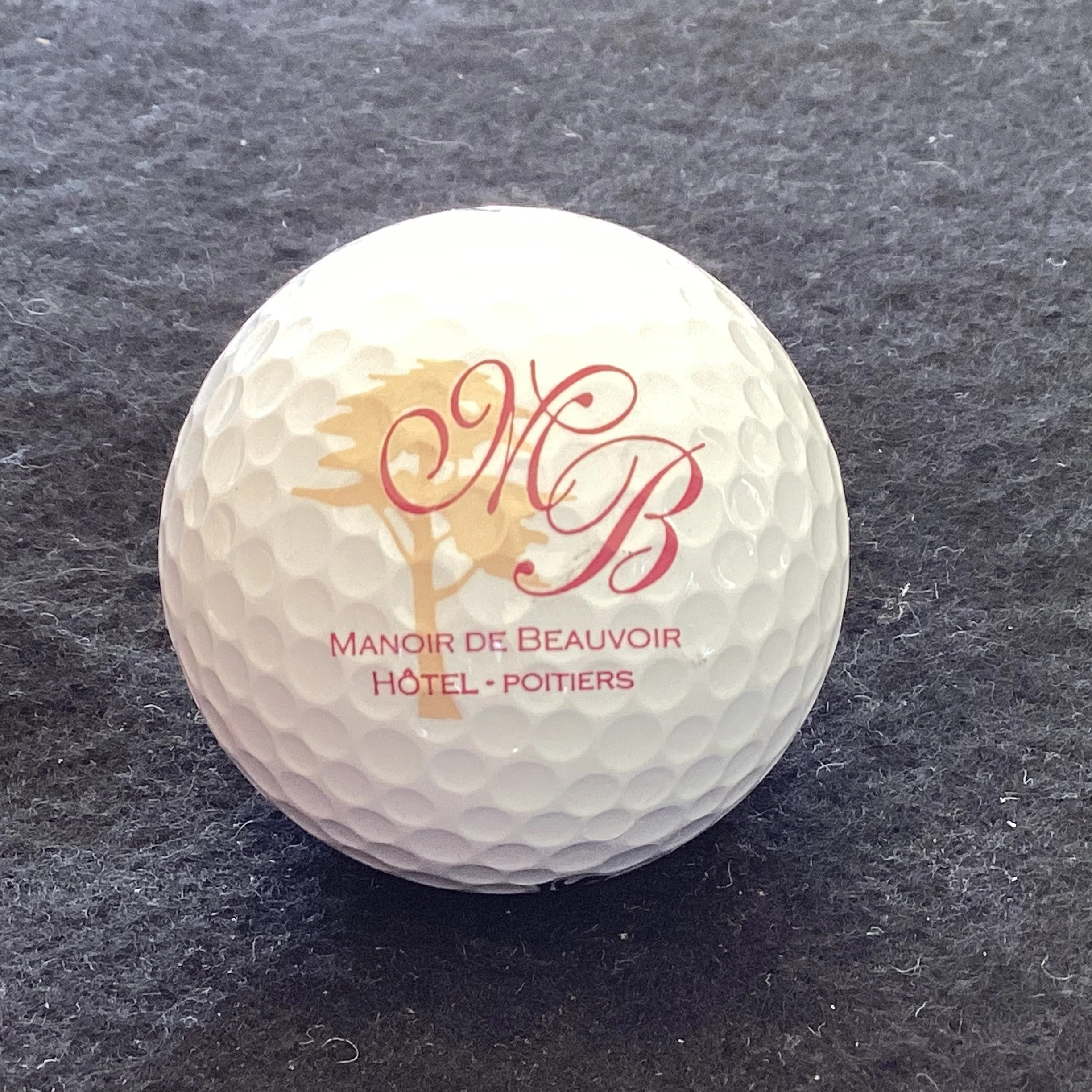Manoir de Beauvoir Hotel Golf Course - Poitiers