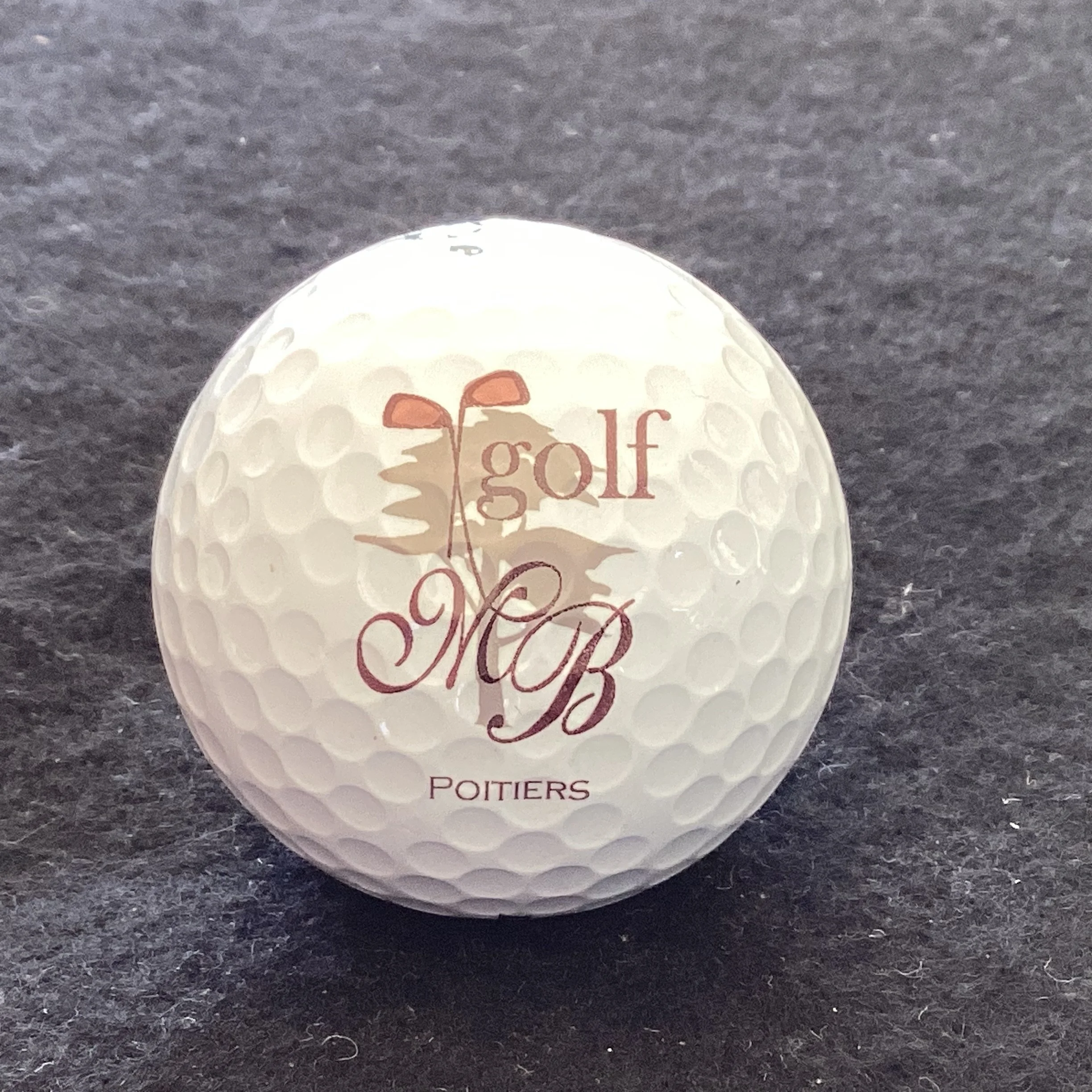 Manoir de Beauvoir Hotel Golf Course - Poitiers