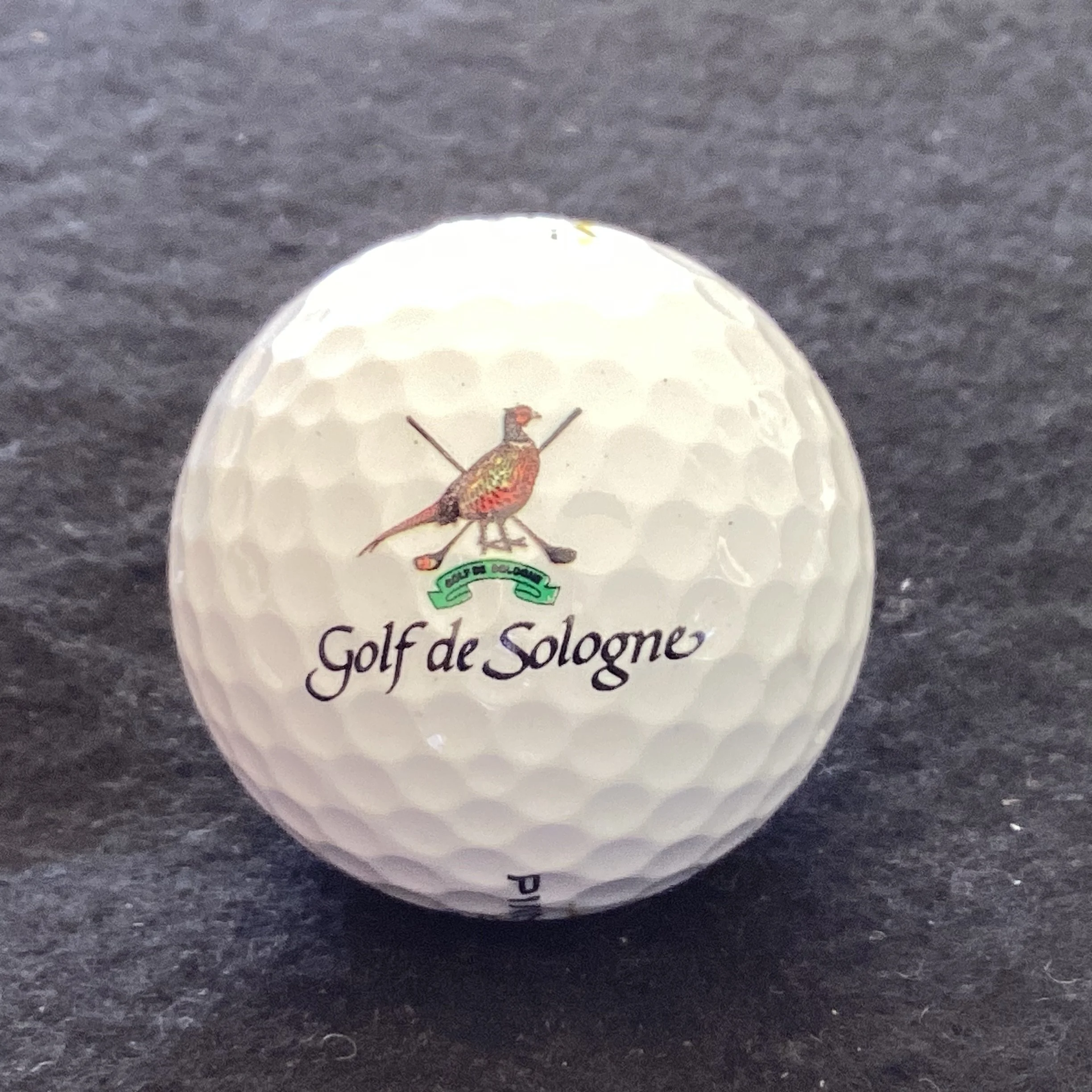 Sologne - Golf de