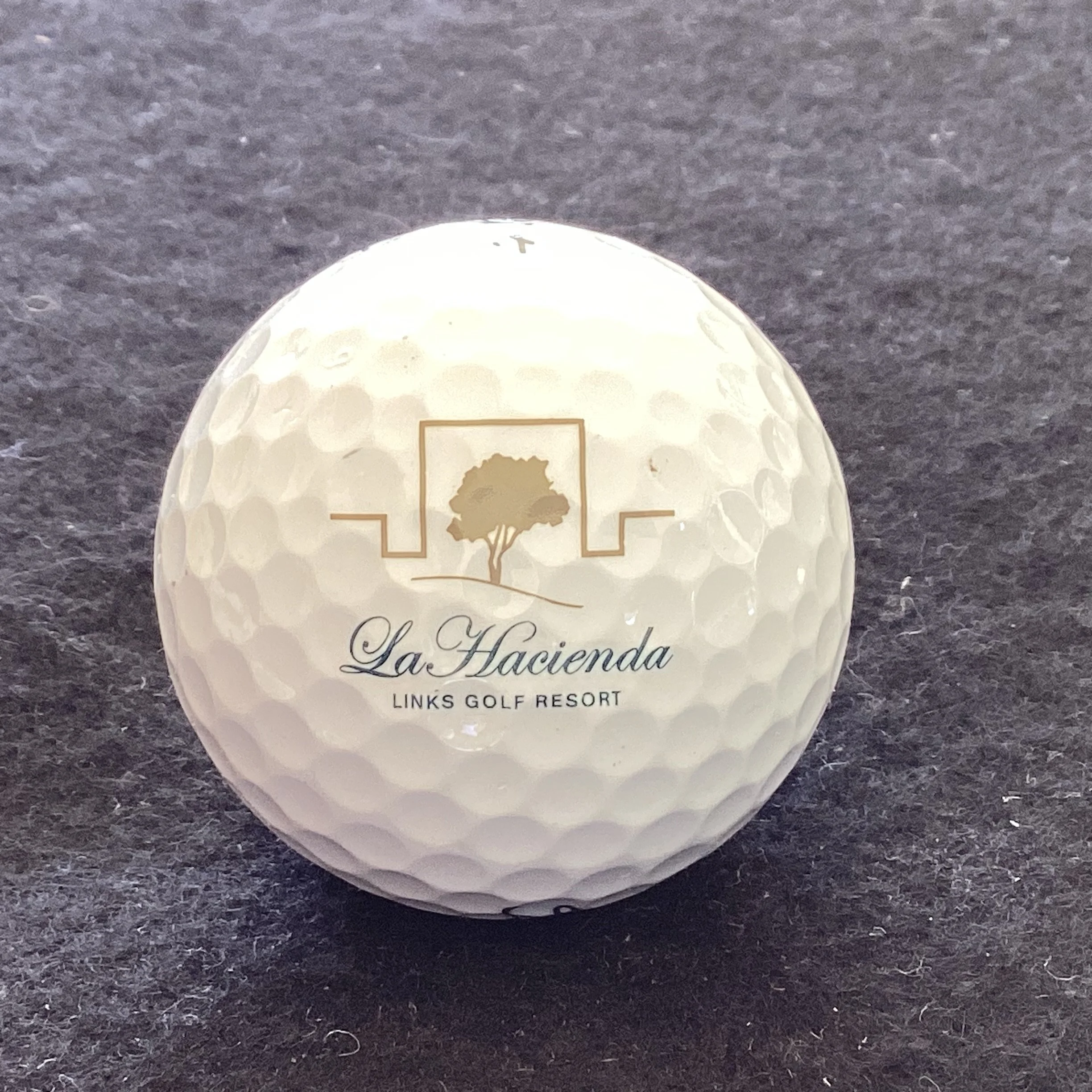 Hacienda - La Hacienda Links Golf Resort