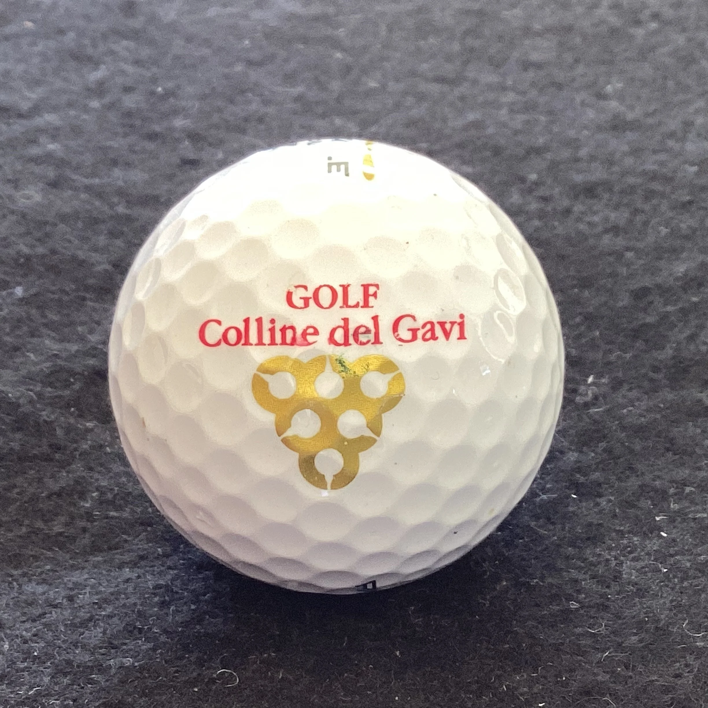 Colline del Gavi Golf