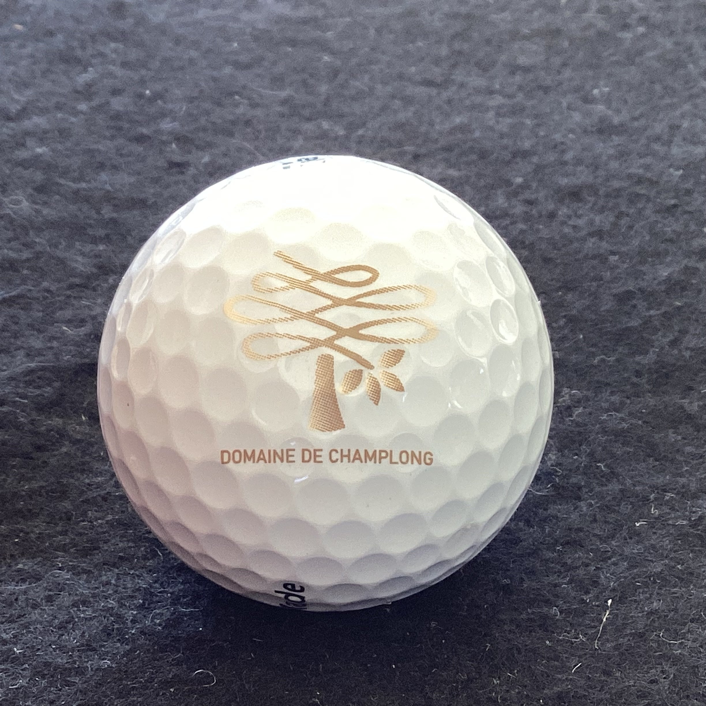 Champlong - Domaine De Champlong Golf