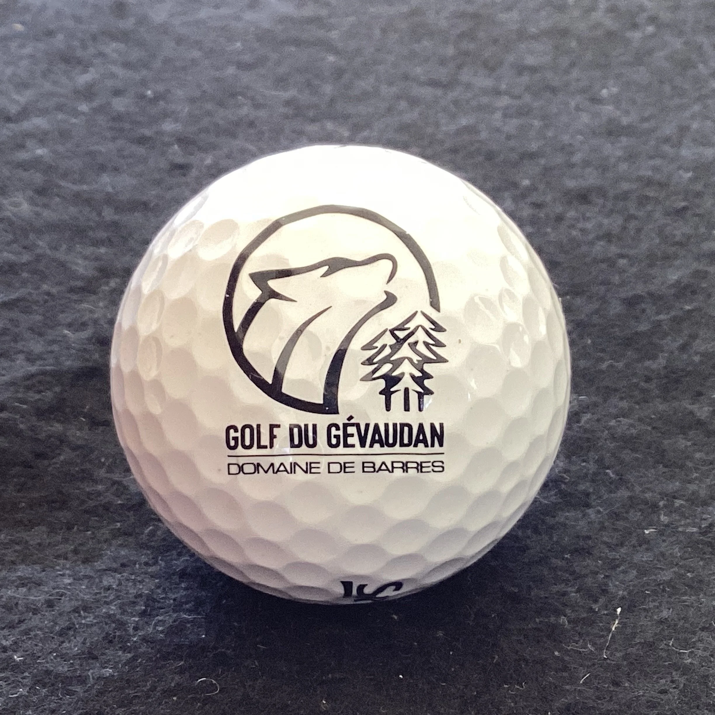 Gevaudan - Golf Du Gevaudan Domaine de Barres