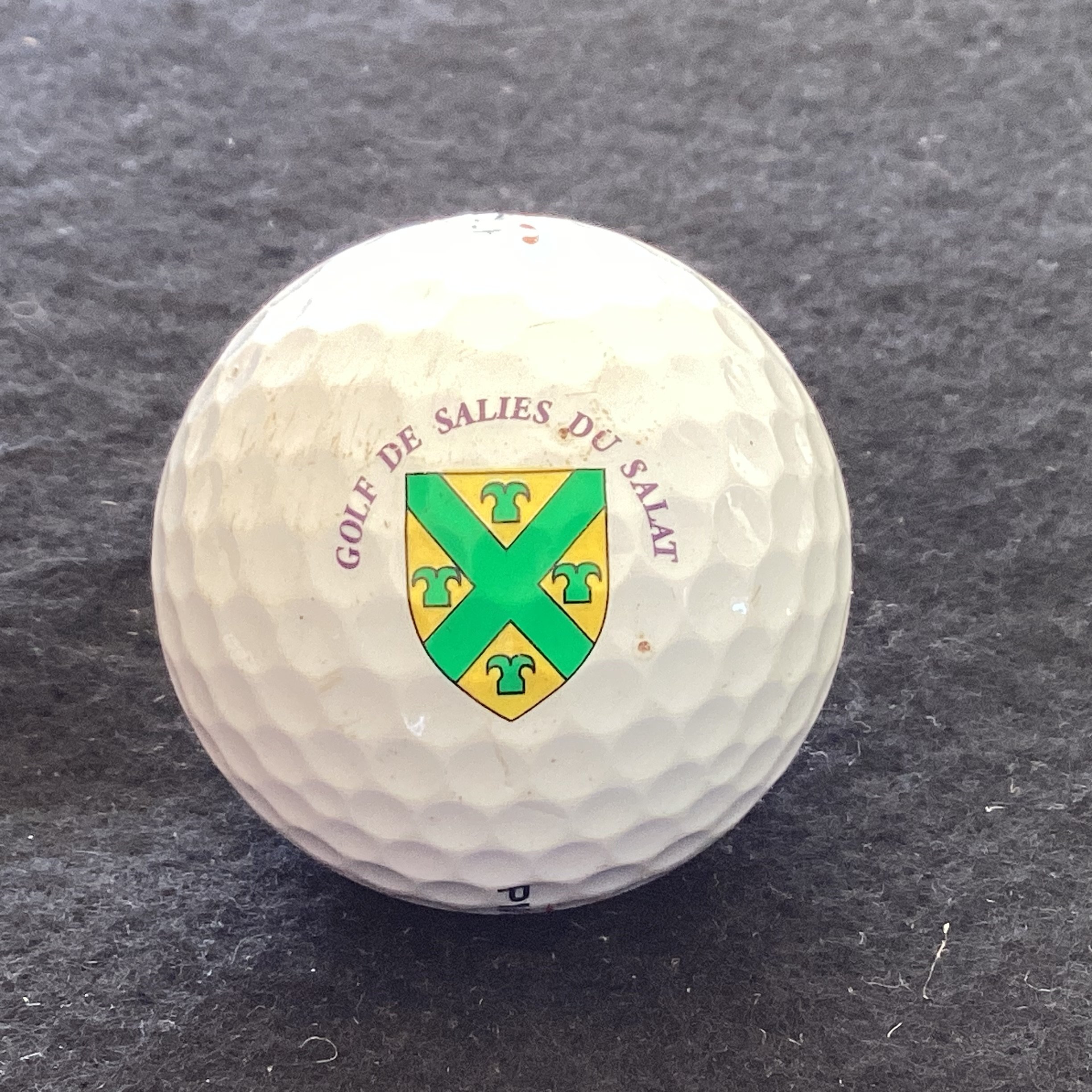 Salies De Salat- Golf de