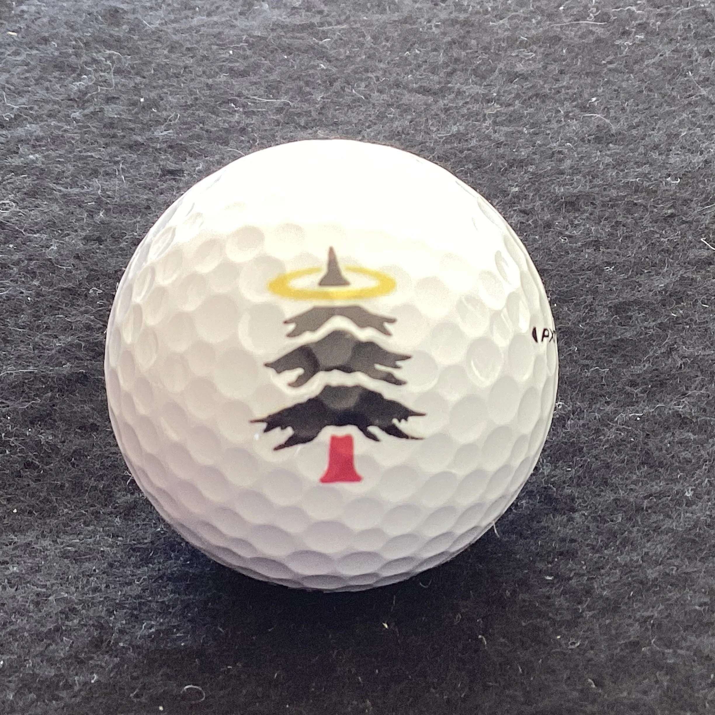 Sahalee Country Club 