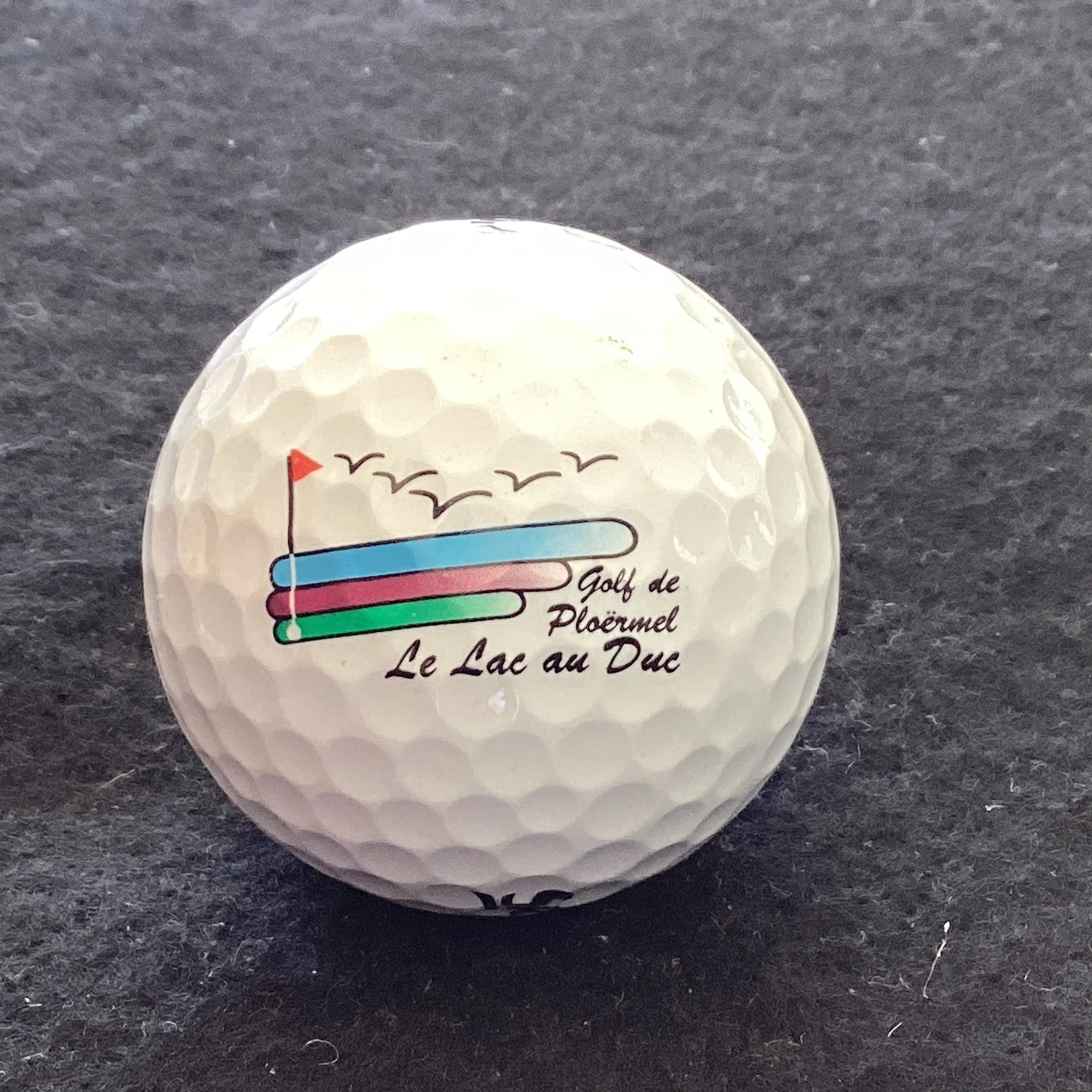 Ploermel - Golf de Ploermel La Lac au Duc