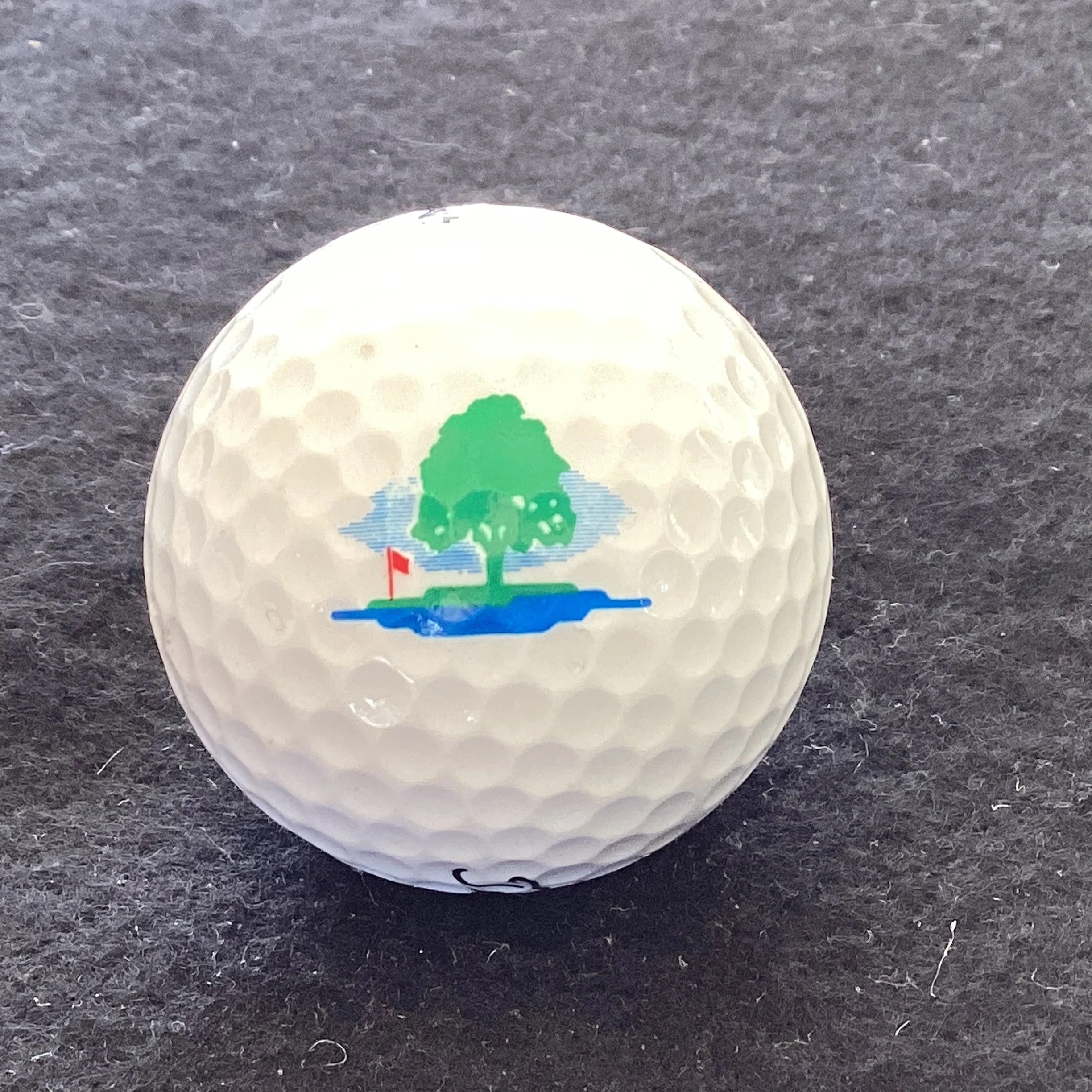 Joyenval Golf de