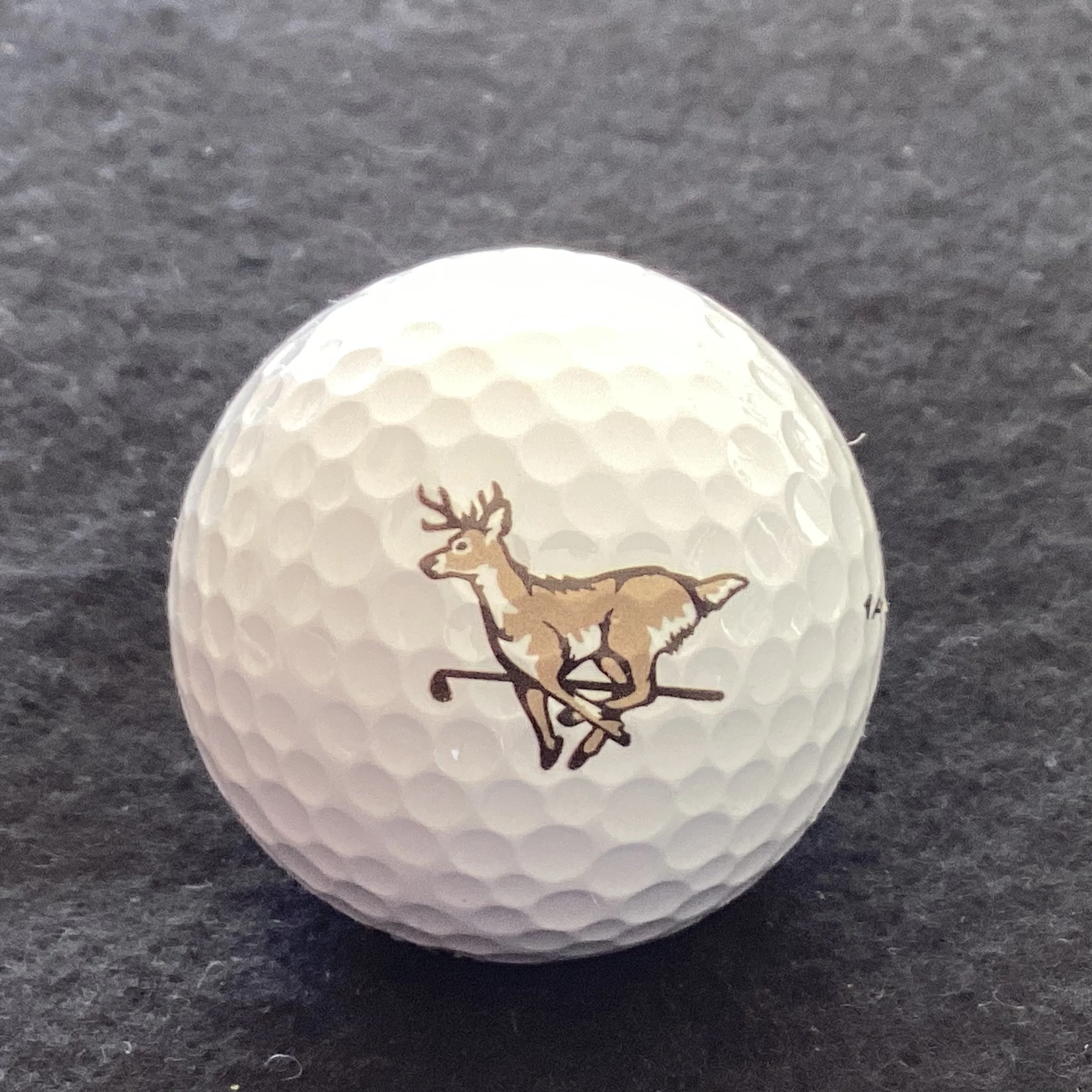 Running Deer Golf Club