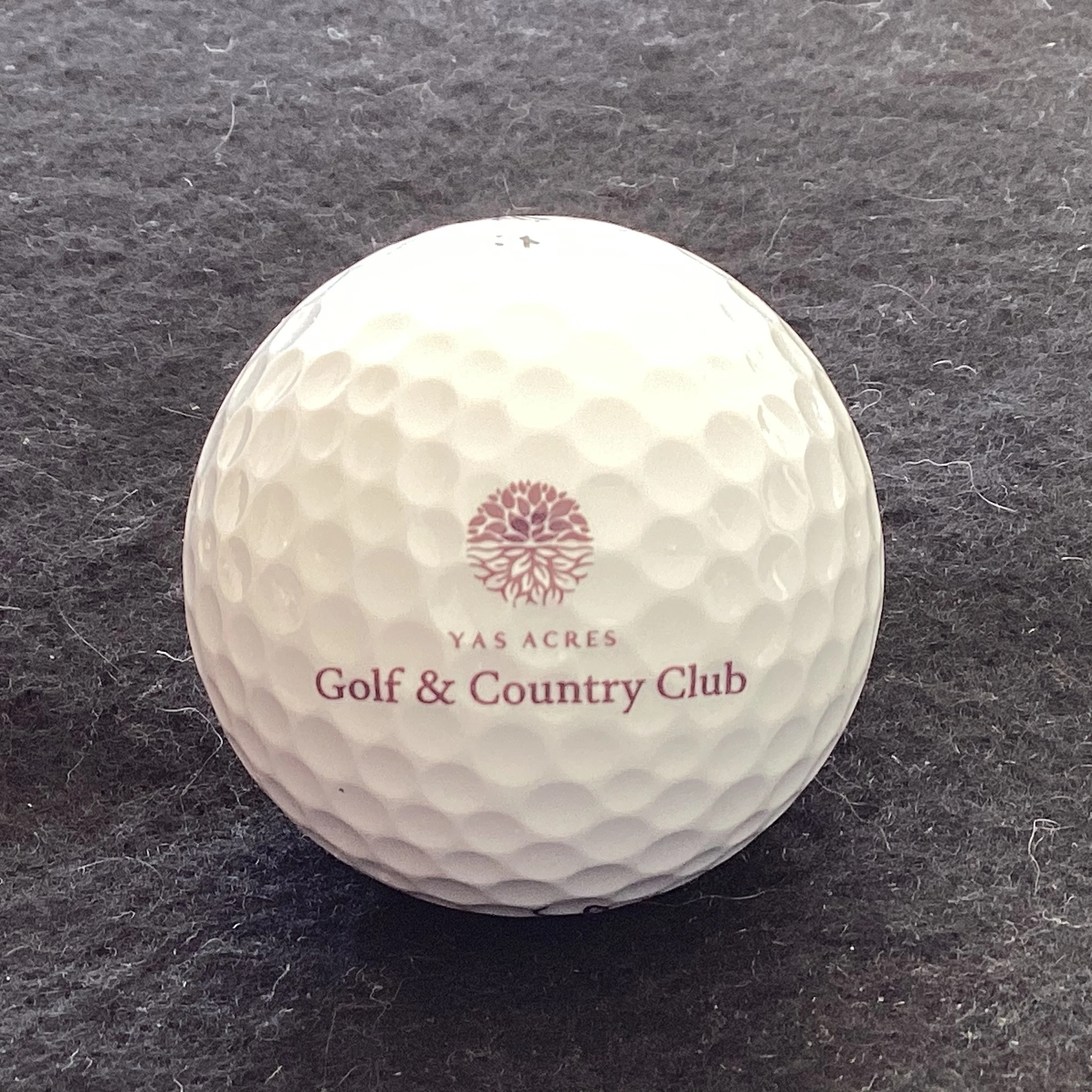 Yas Acres Golf and Country Club 