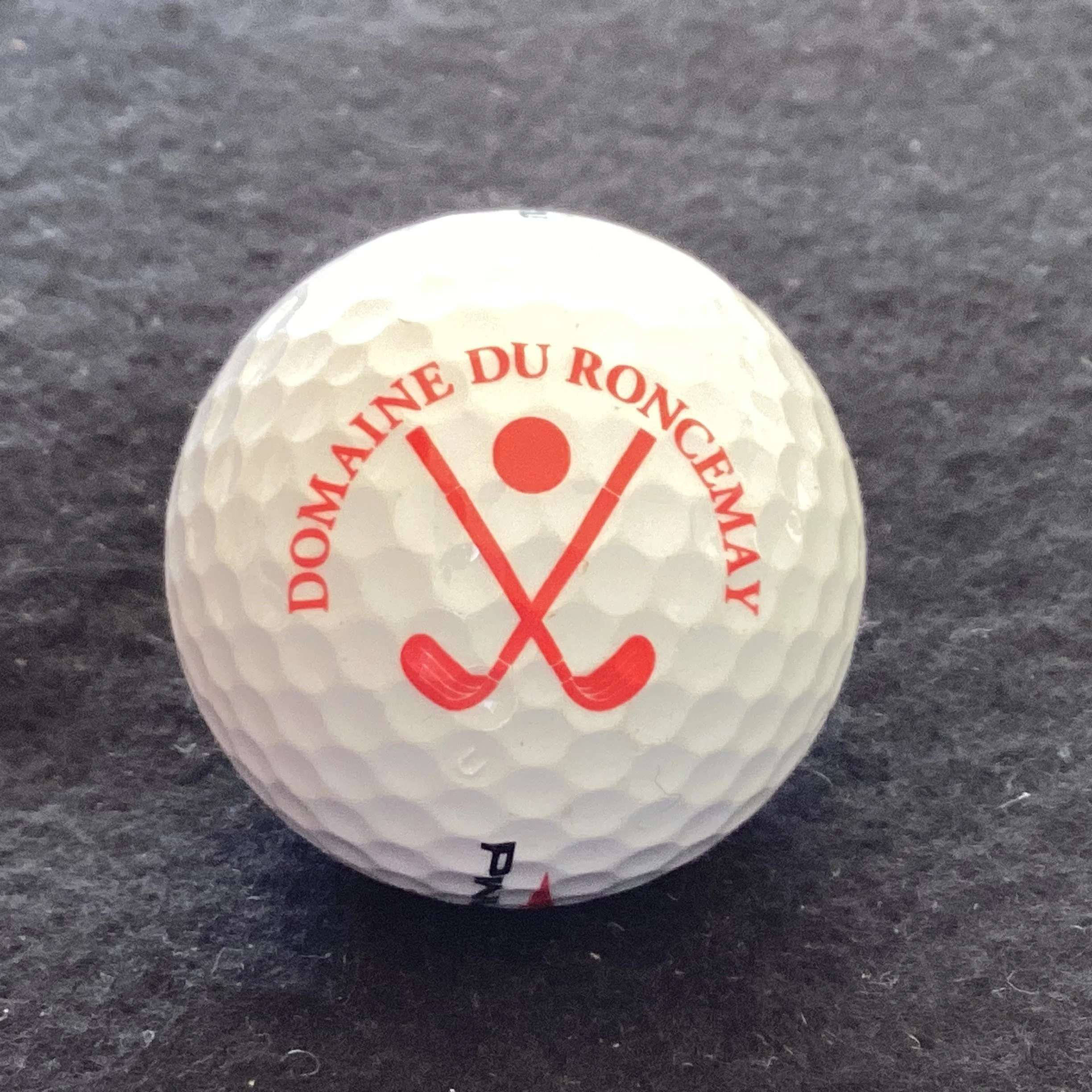 Roncemay - Domaine du Roncemay Golf