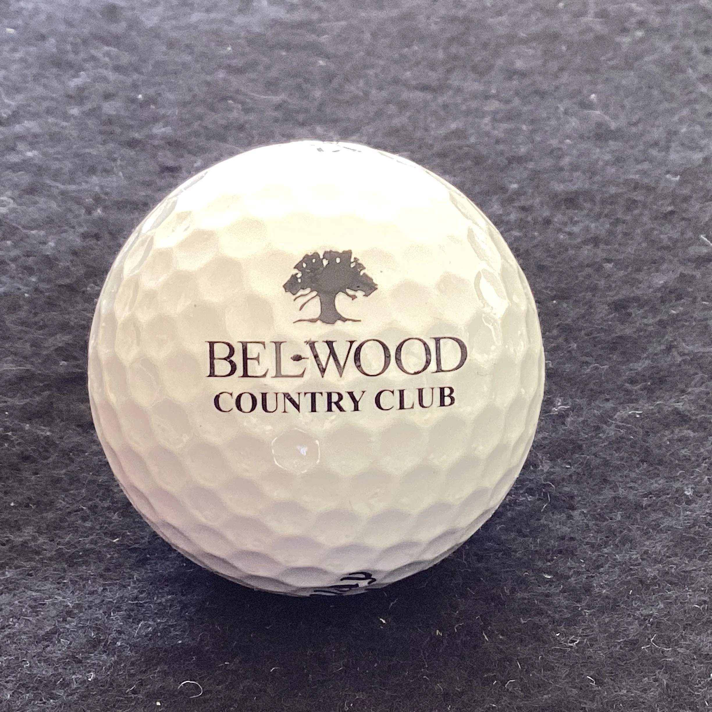 Bel-Wood Country Club 