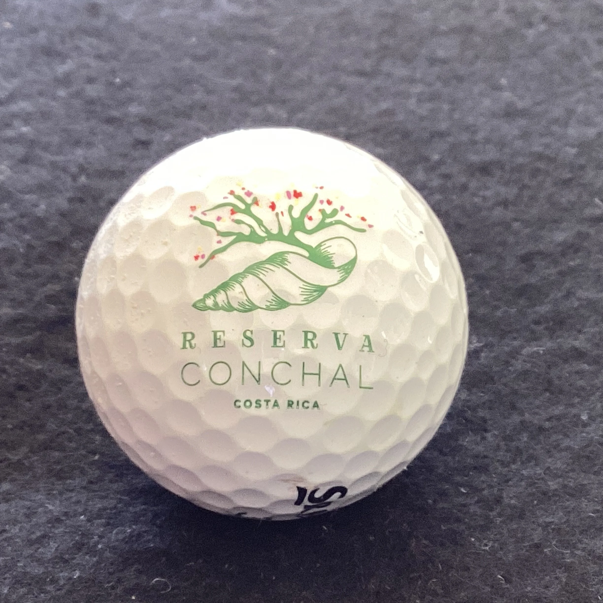 Reserva Conchal Golf Course 