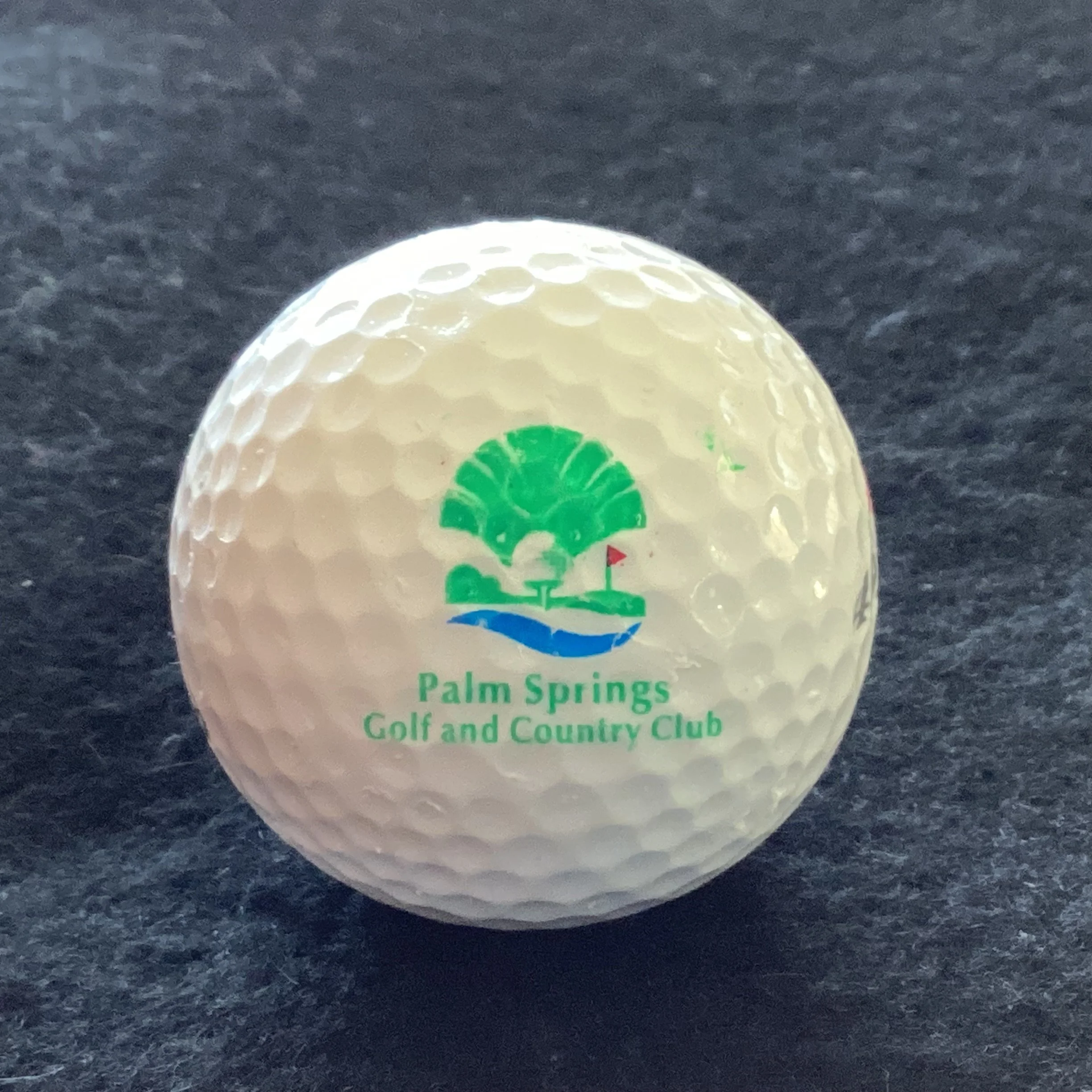 Palm Springs Golf and Country Club 