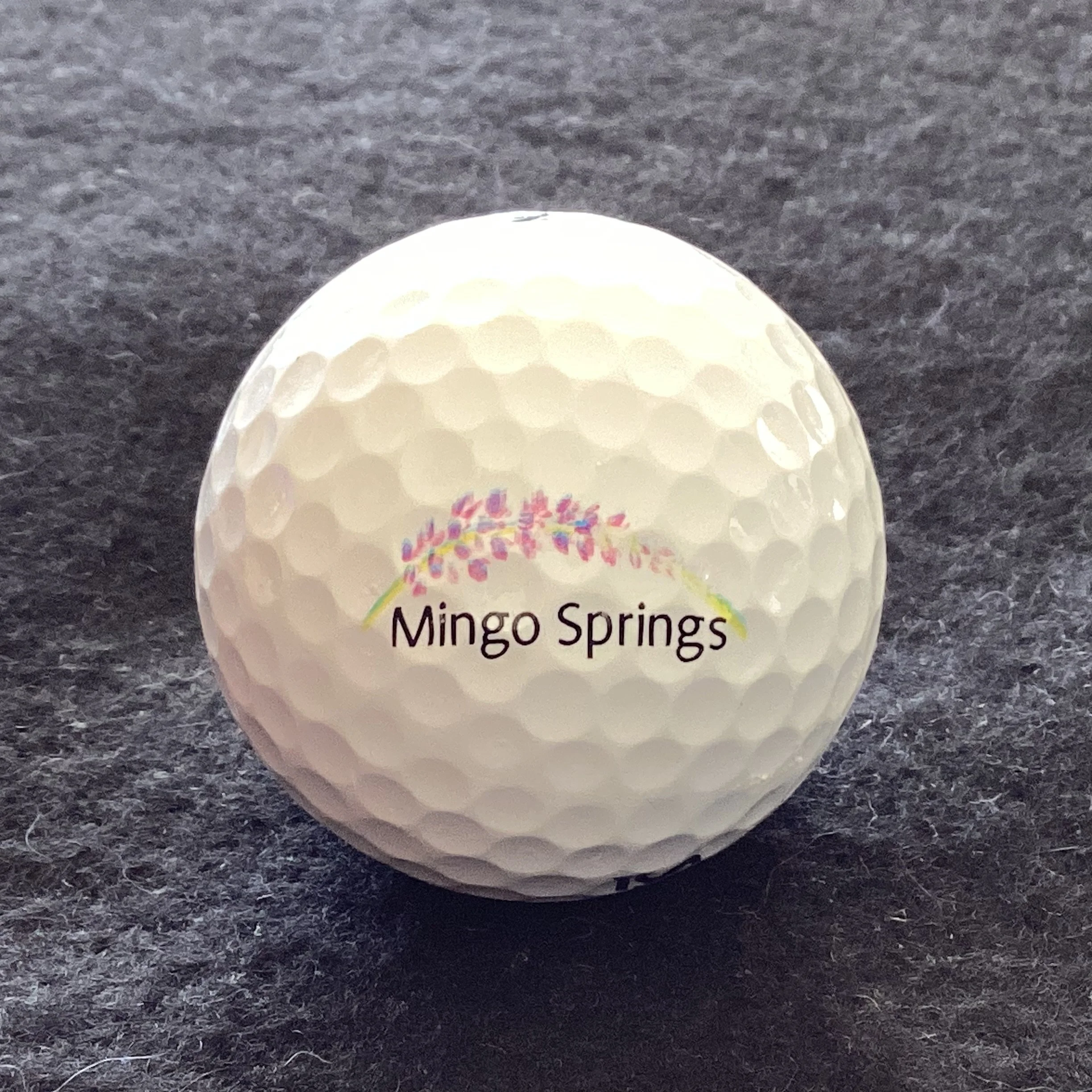 Mingo Springs Golf Club 