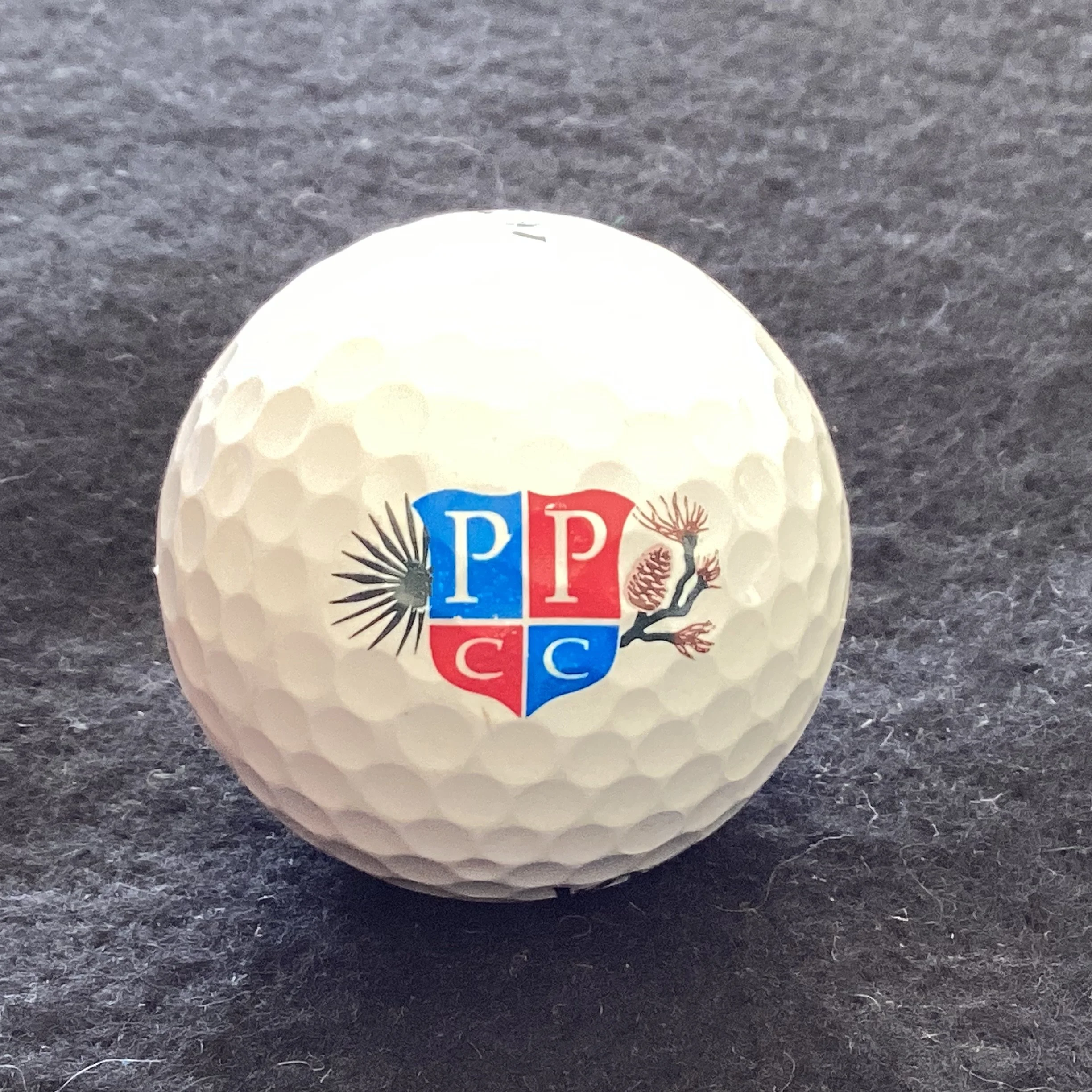 Palmetto Pines Country Club 