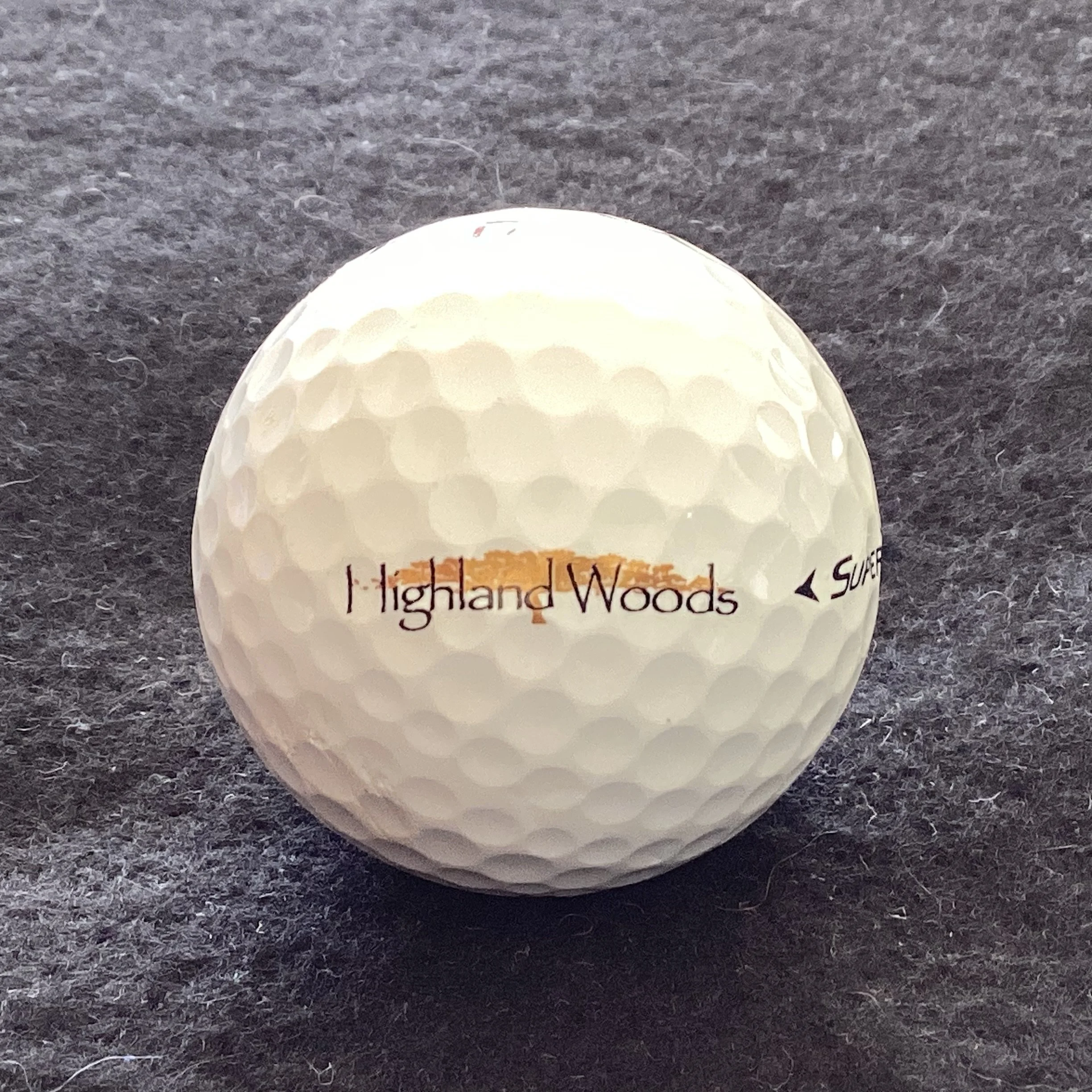 Highland Woods Golf and Country Club 