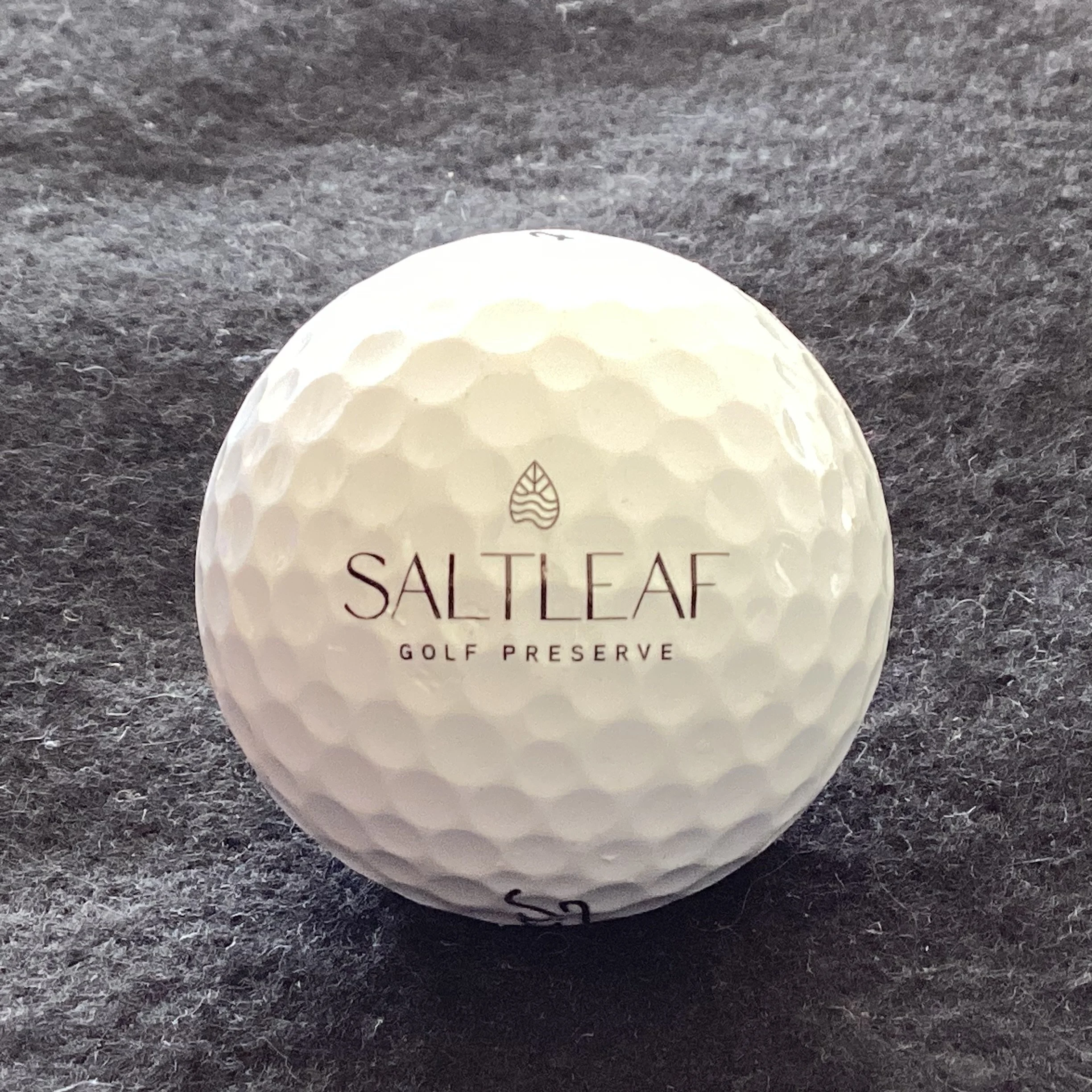 Saltleaf Golf Preserve 