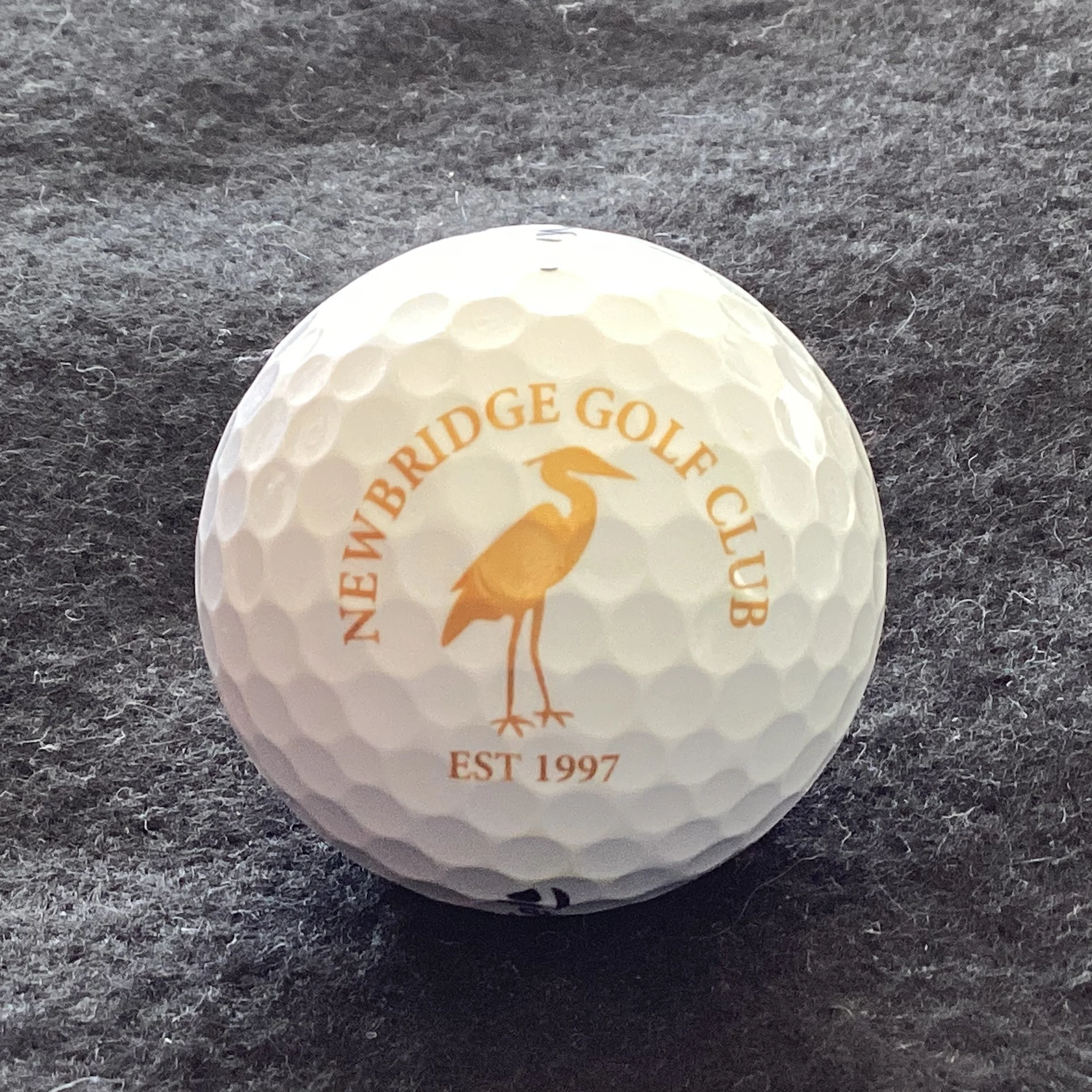 Newbridge Golf Club 