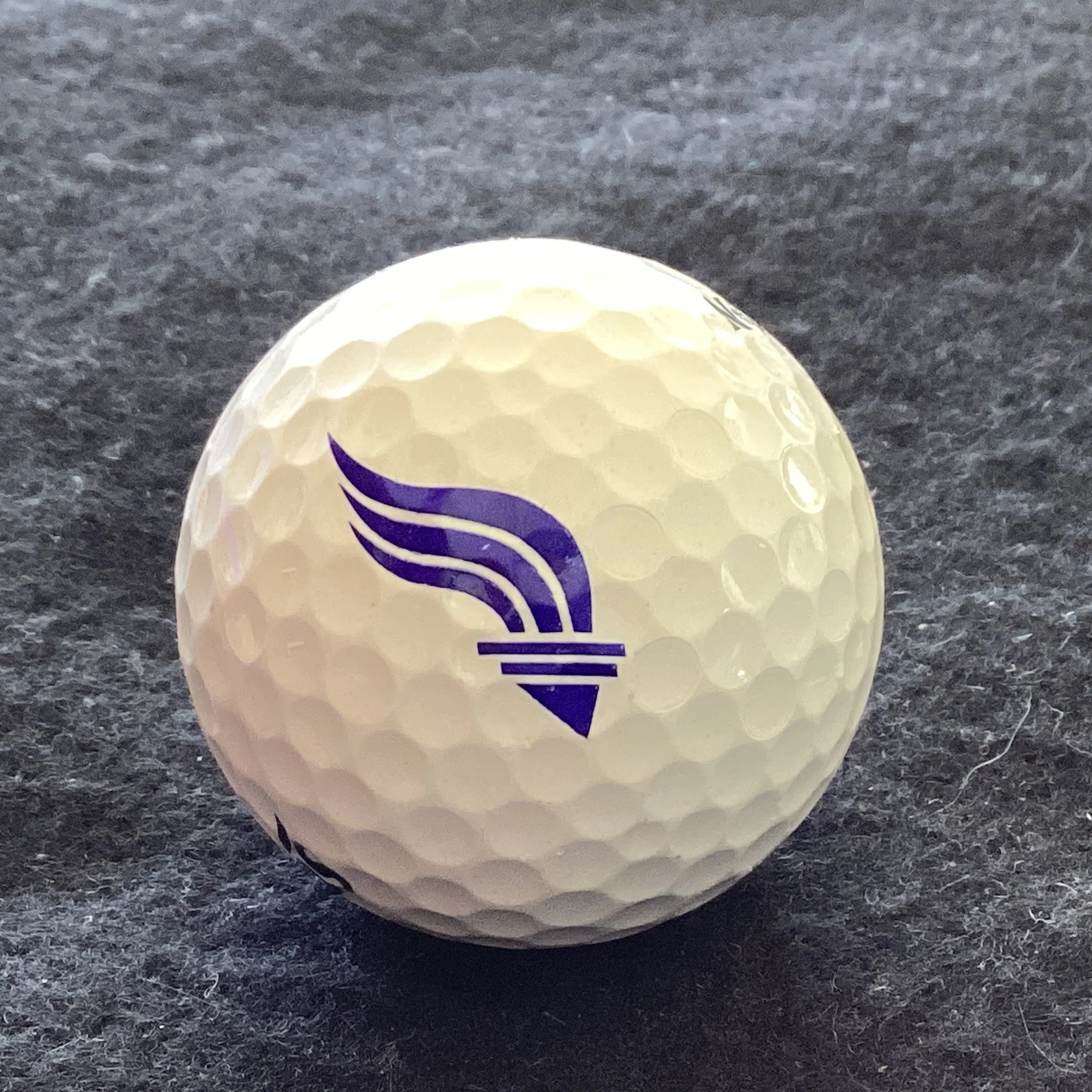 Holy Child Central Colleges