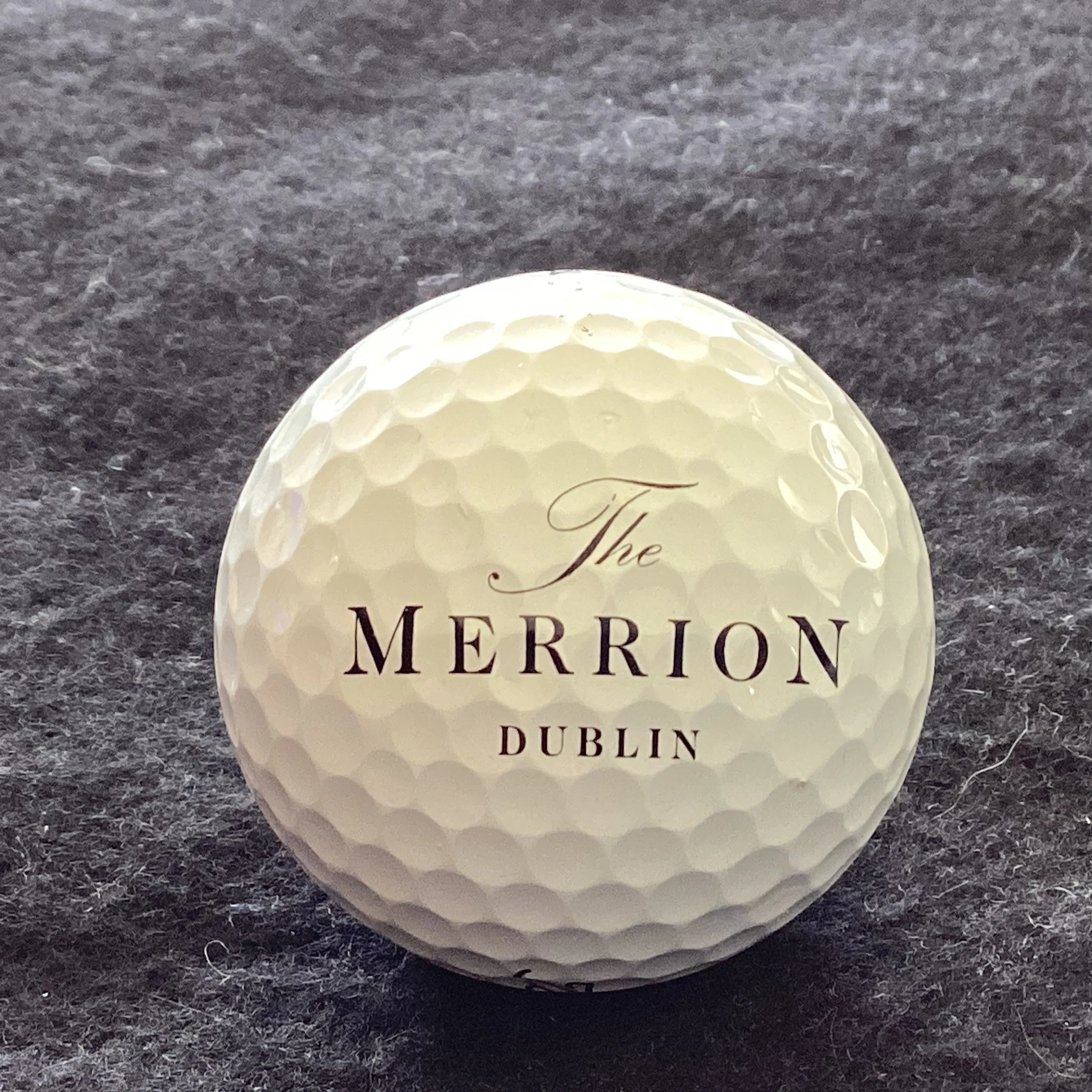 The Merion Hotel