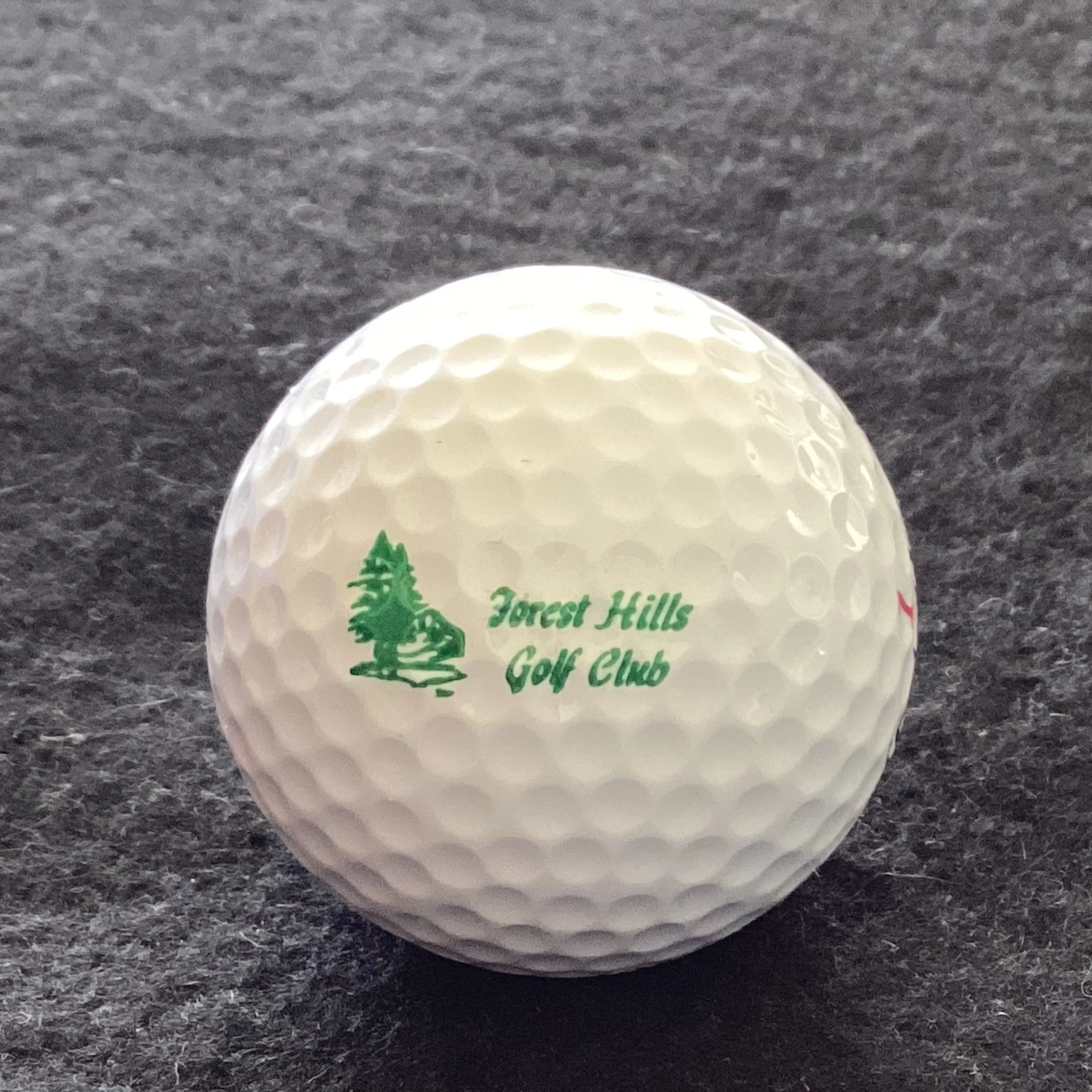 Forest Hills Golf Club 