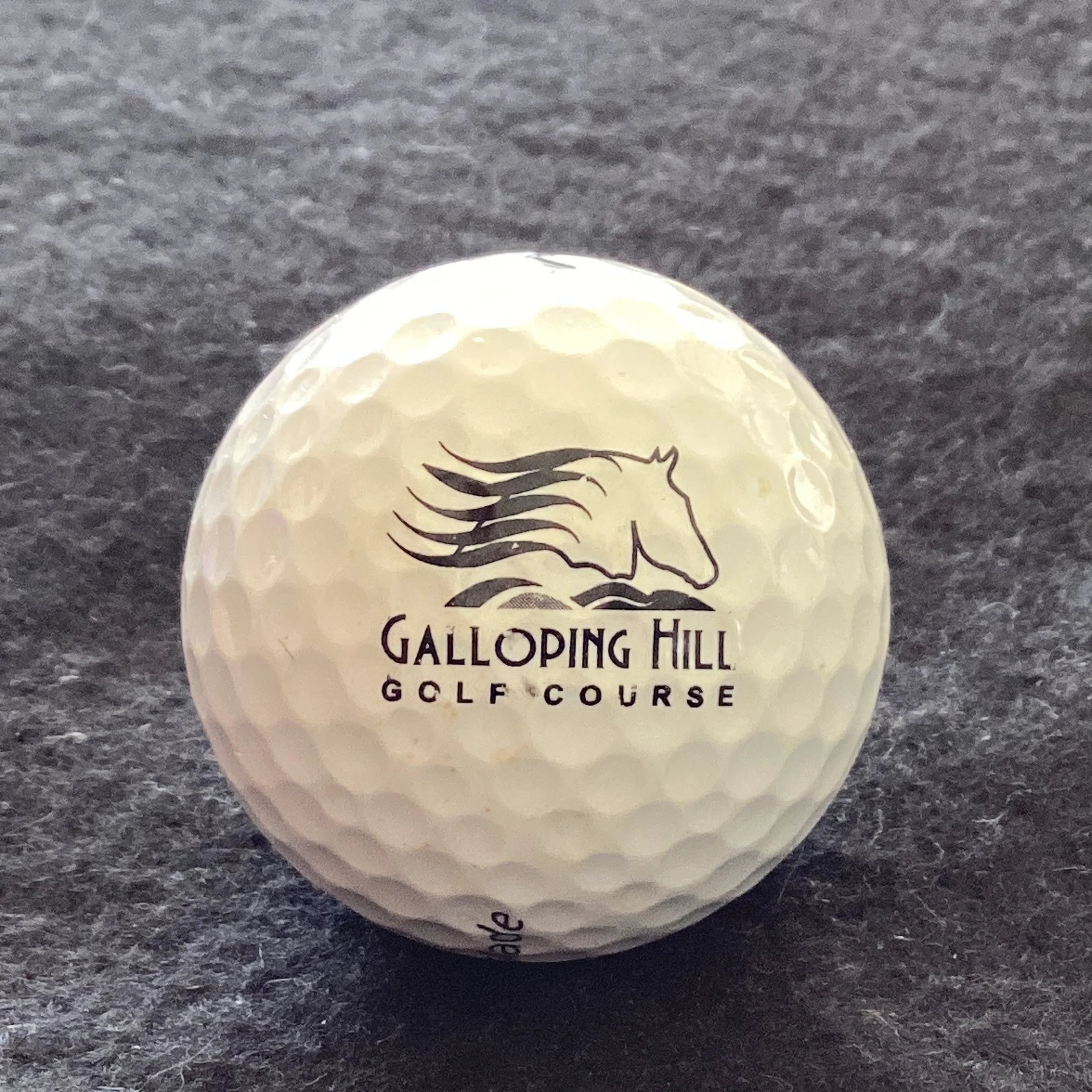 Galloping Hill Golf Course 
