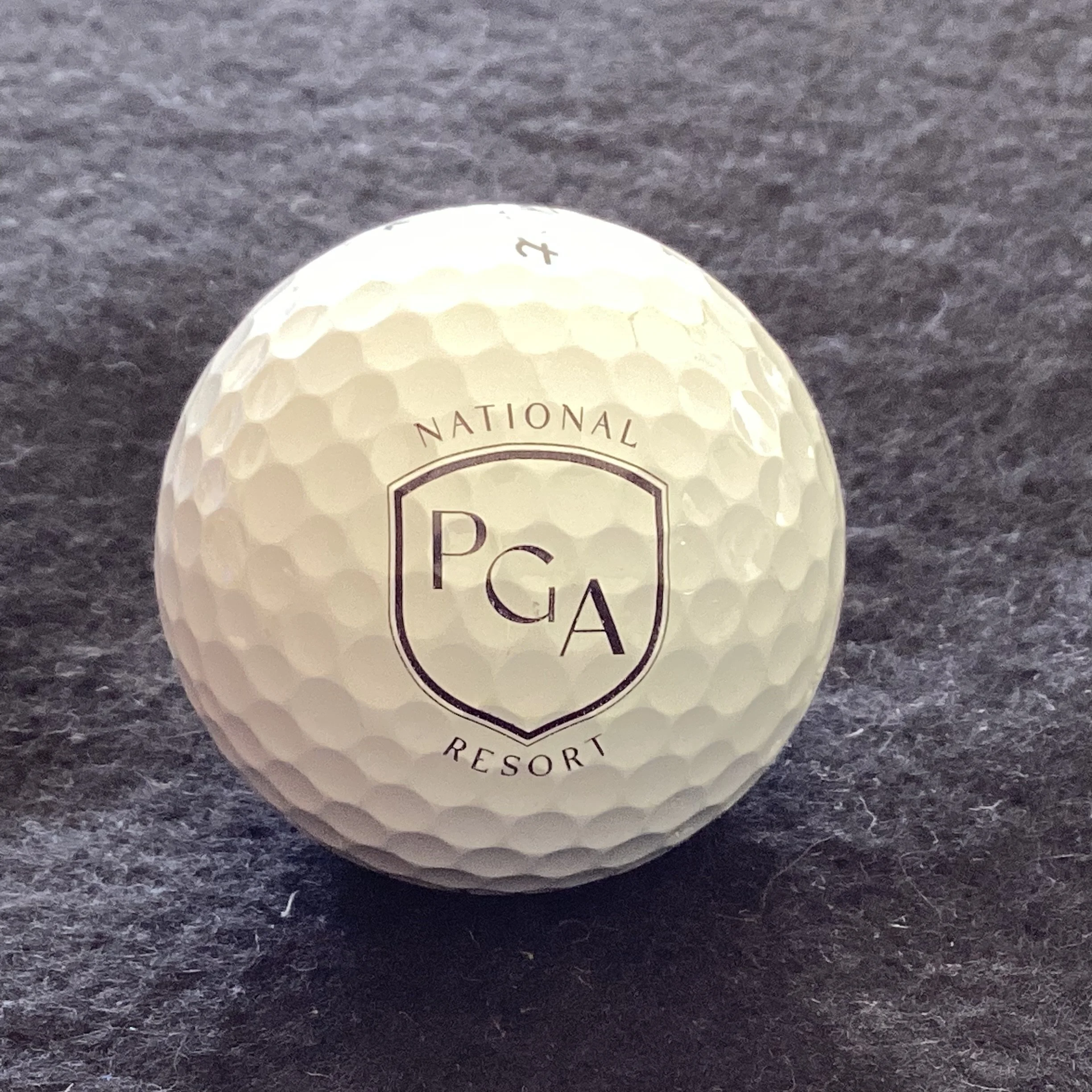 National PGA Resort 