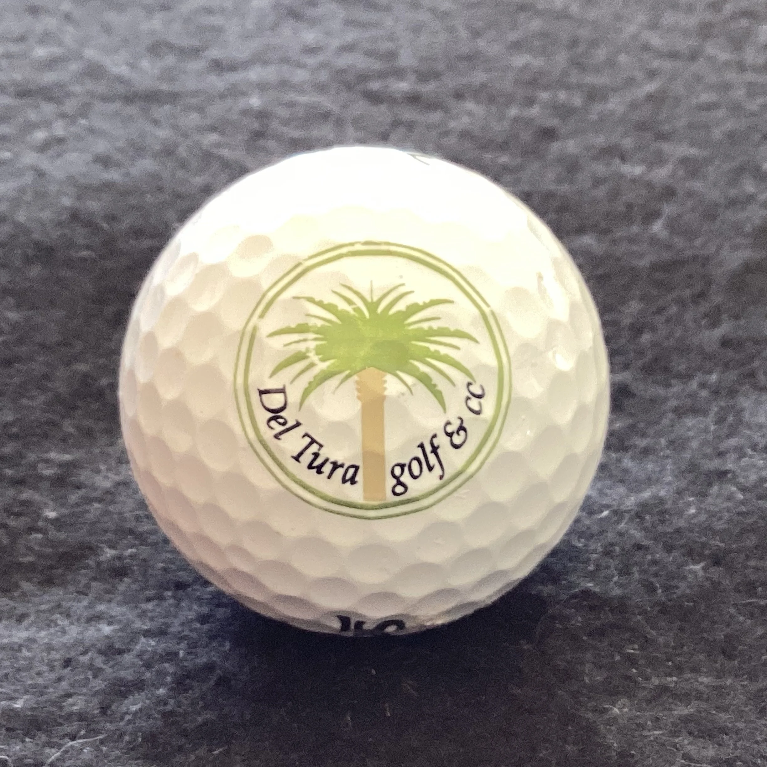 Del Tura Golf and Country Club 