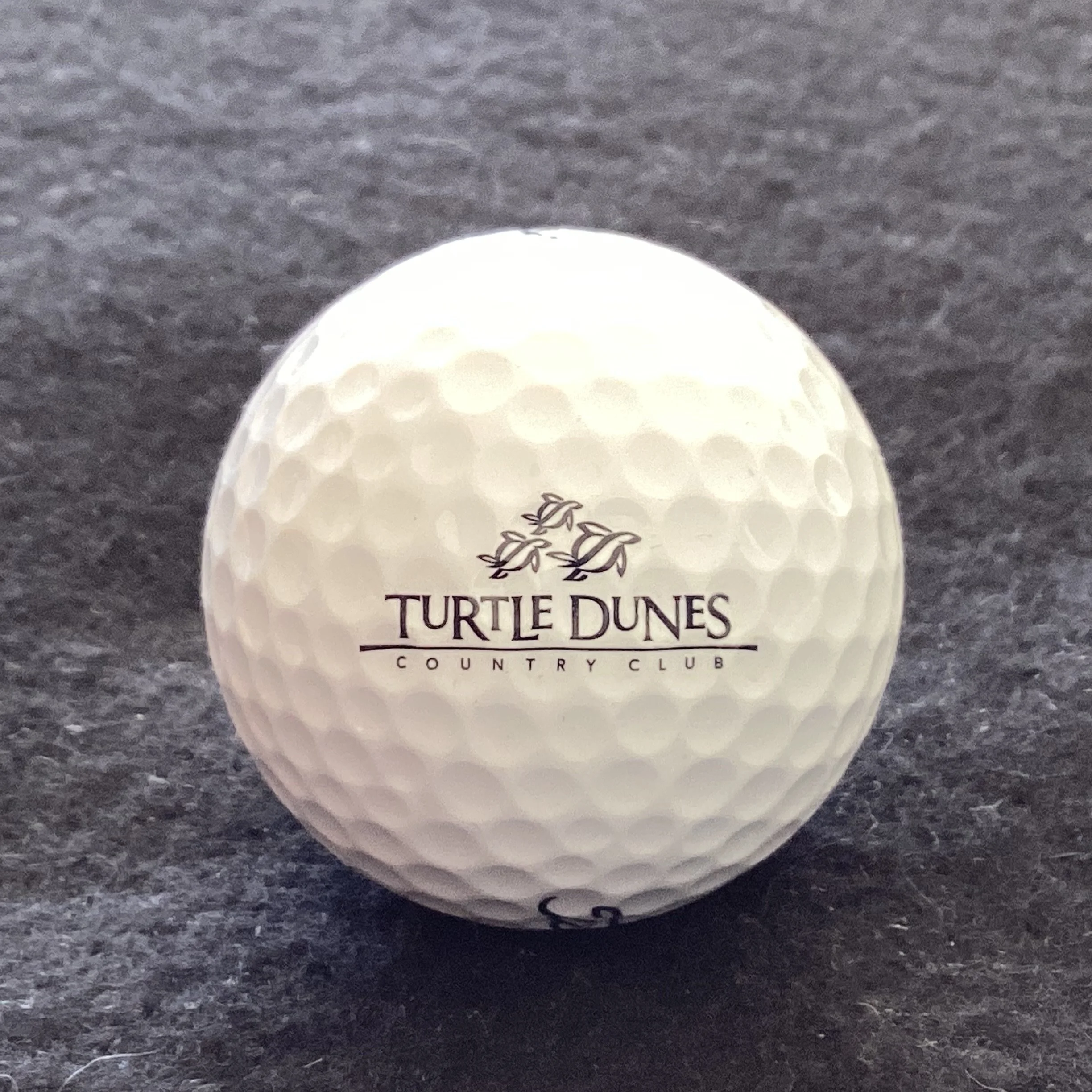 Turtle Dunes Country Club 