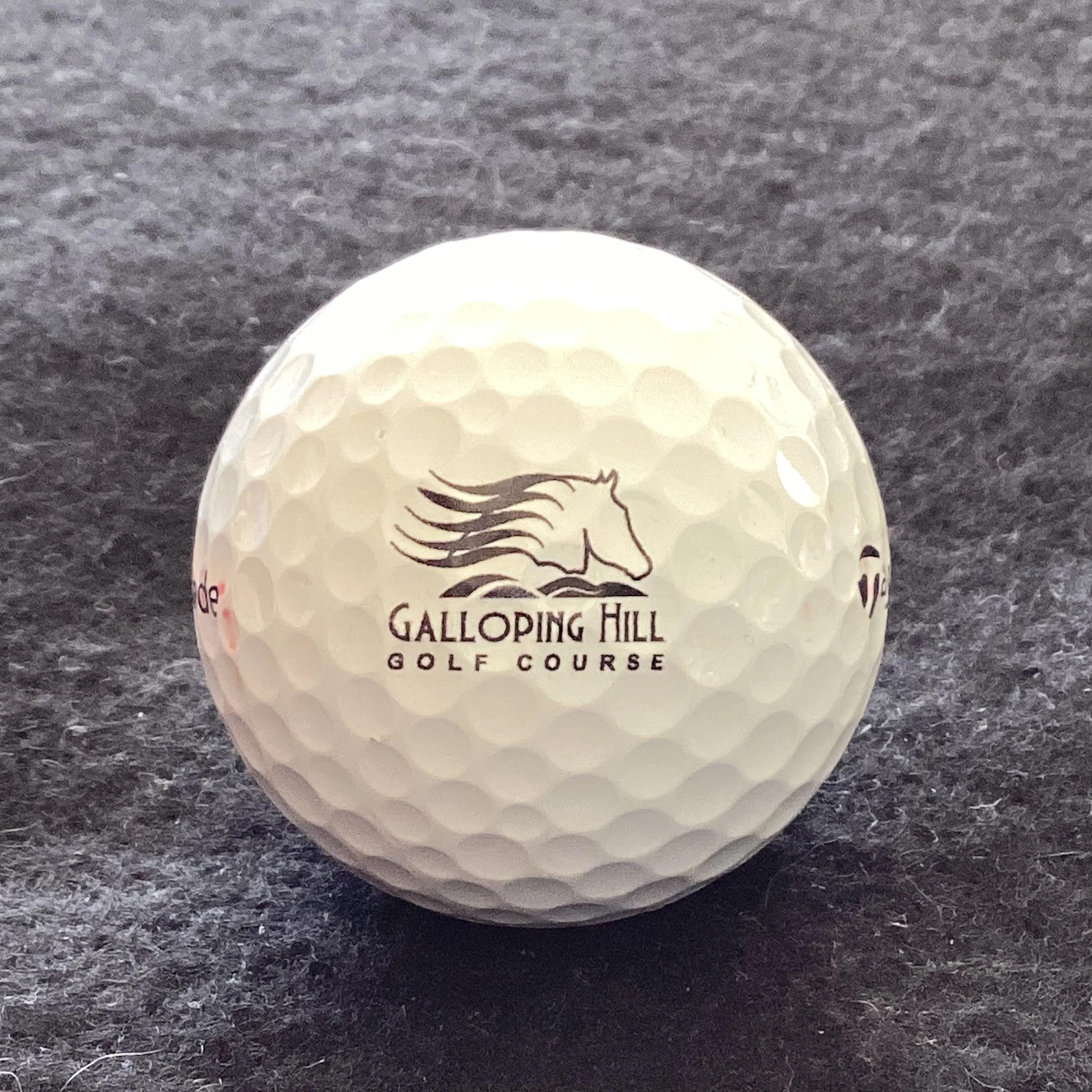 Galloping Hill Golf Course 
