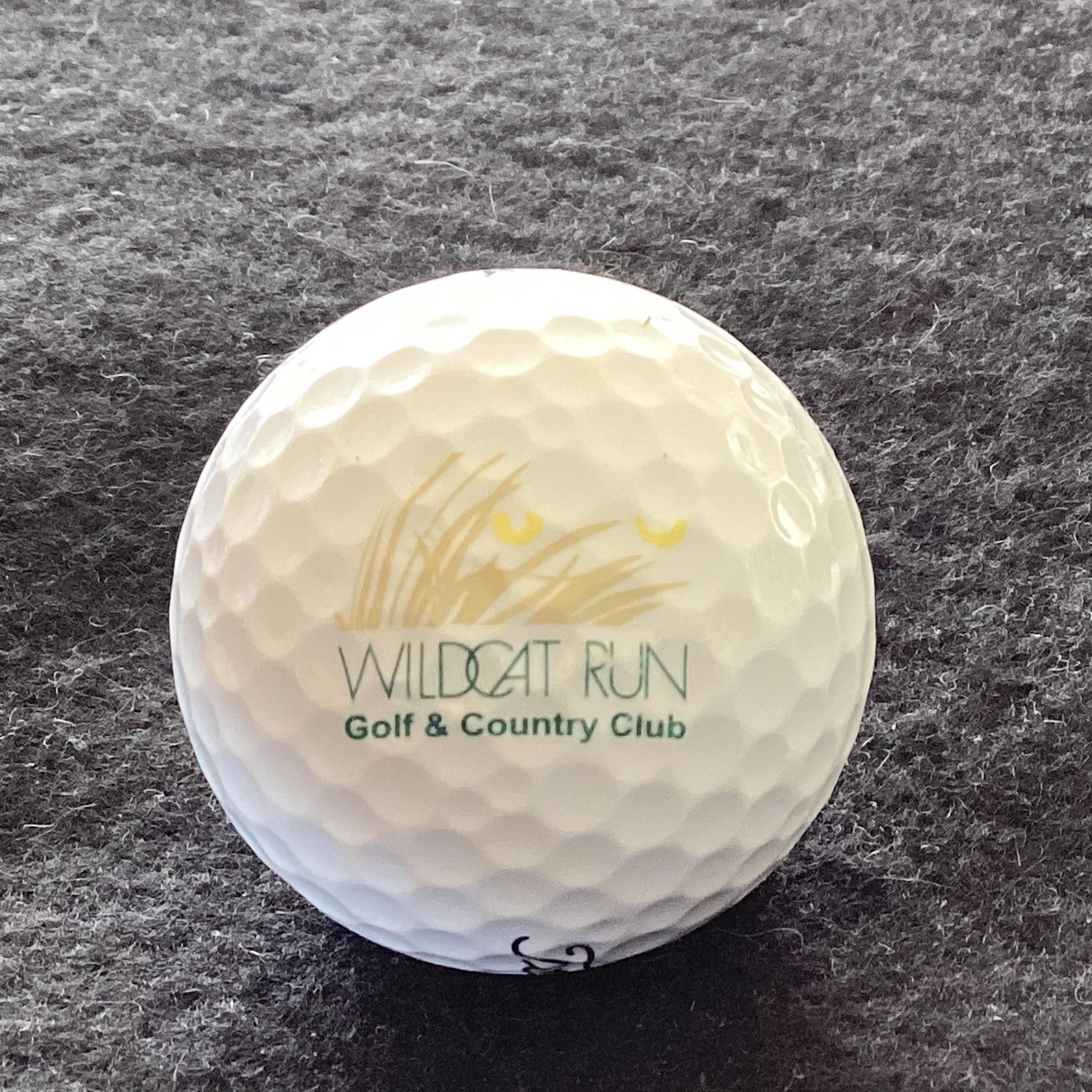 Wildcat Run Golf and Country Club 