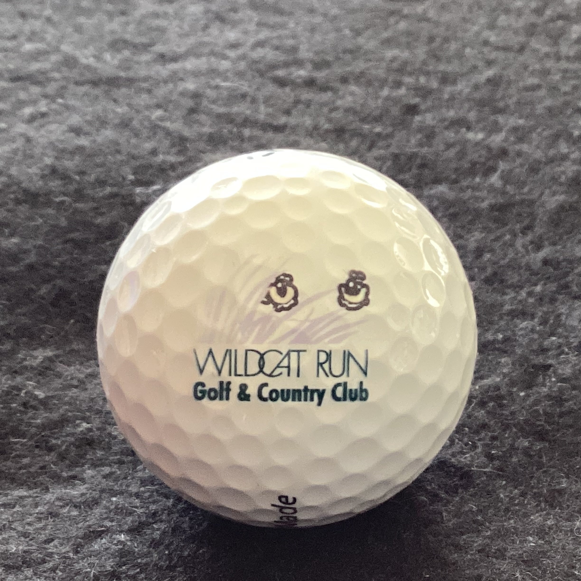 Wildcat Run Golf and Country Club 