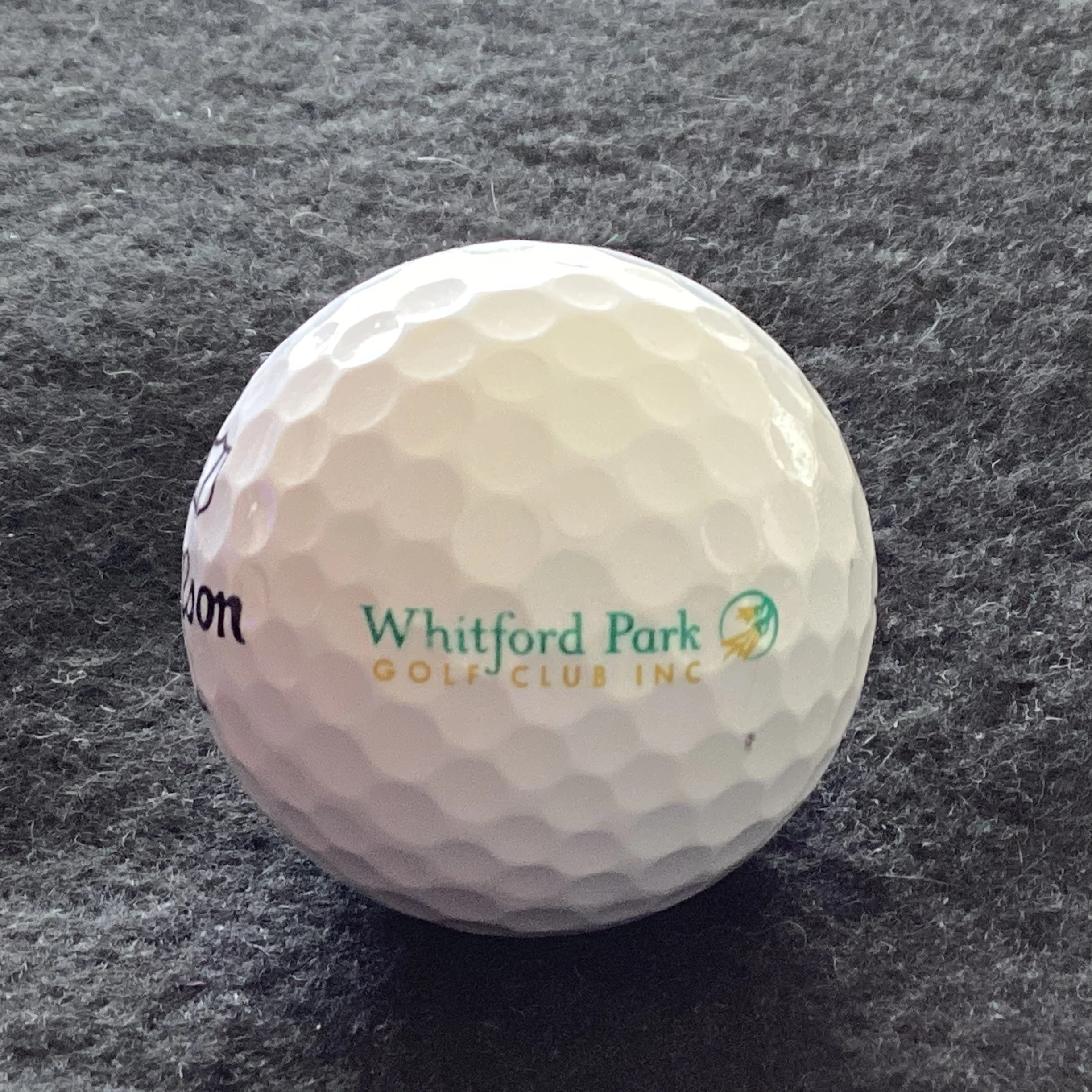 Whitford Park Golf Club 